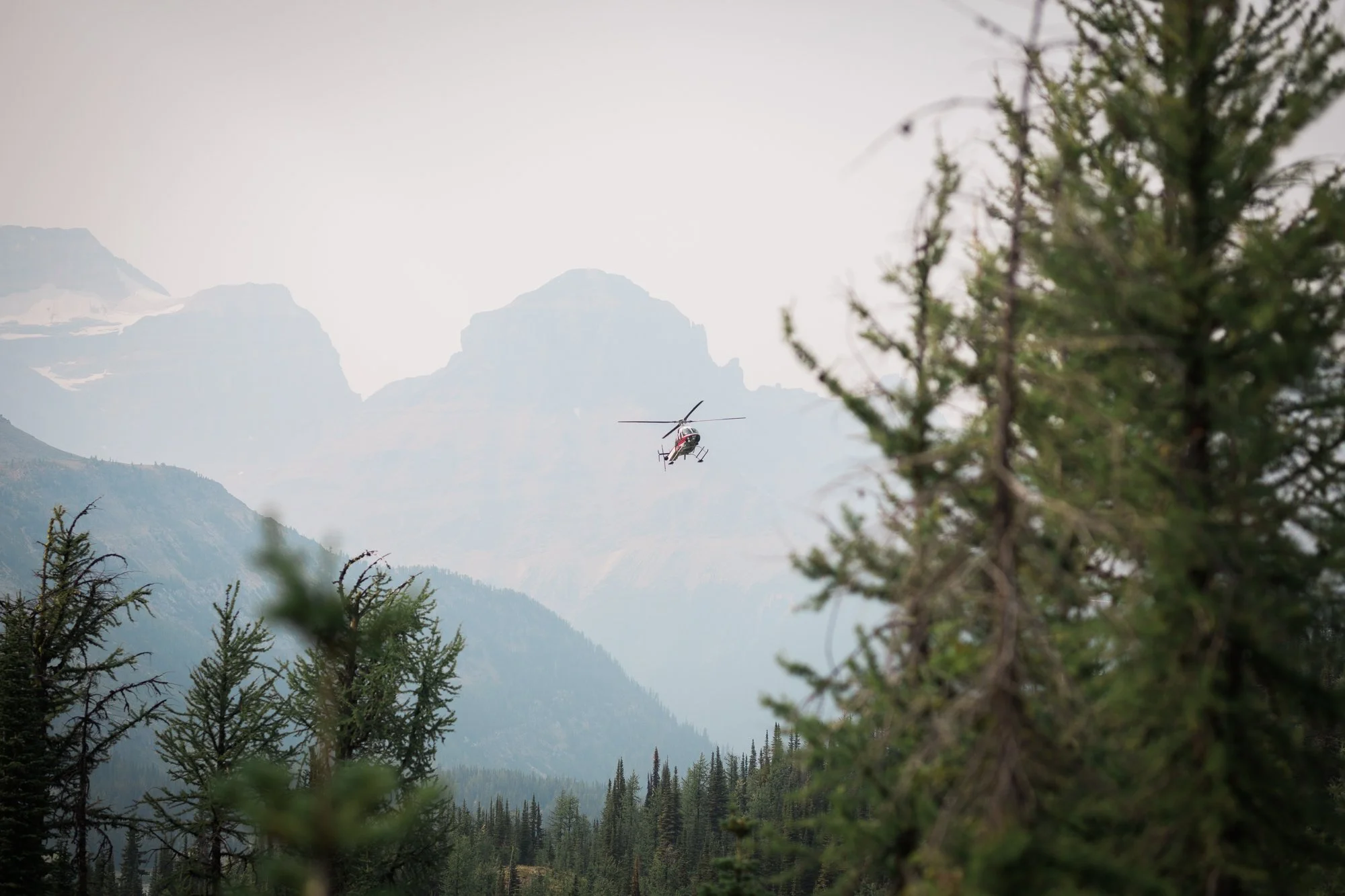 Deanna-Rachel-Photography-Canmore-Heli-Wedding-58.jpg
