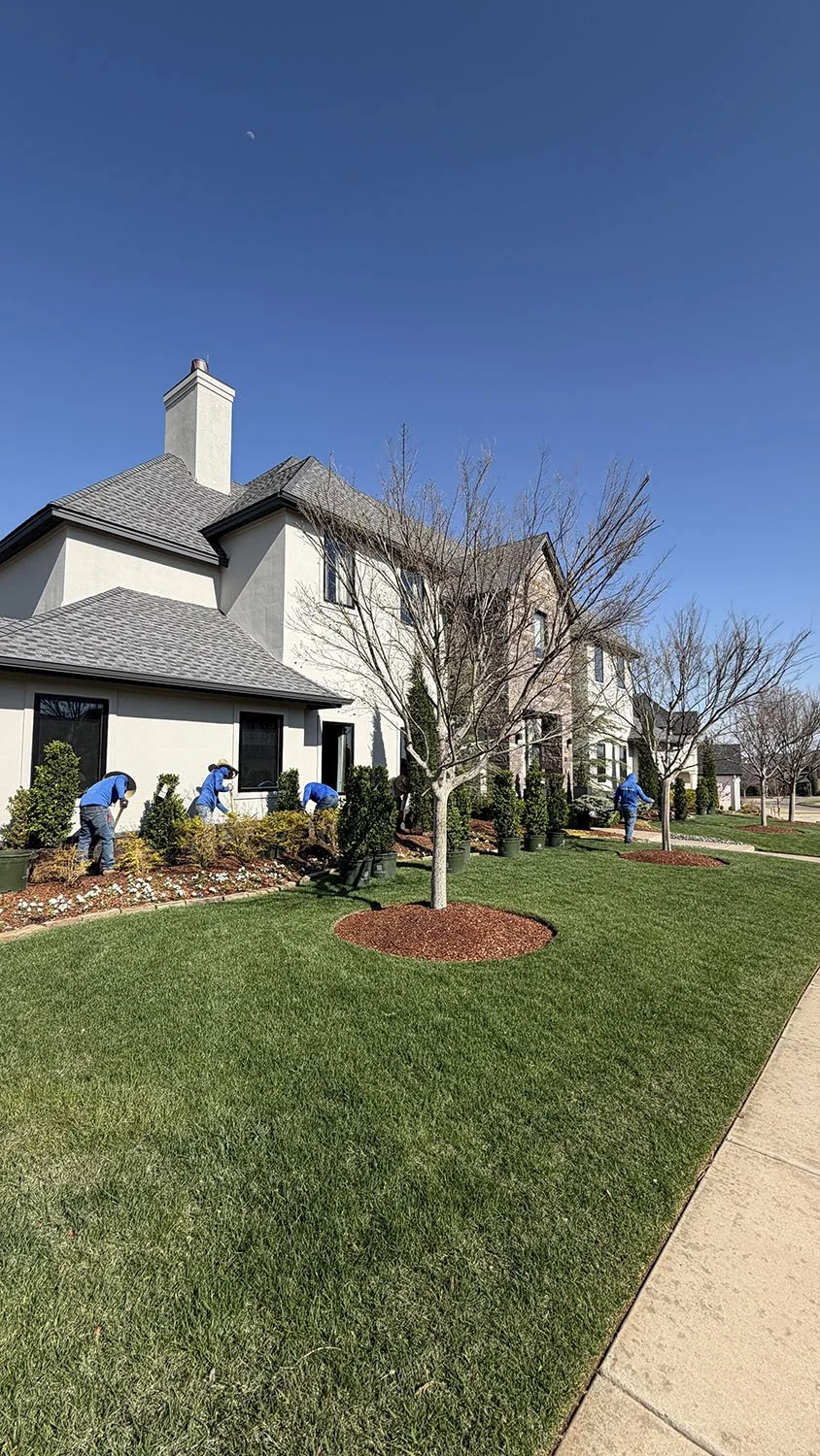 Landscape Design