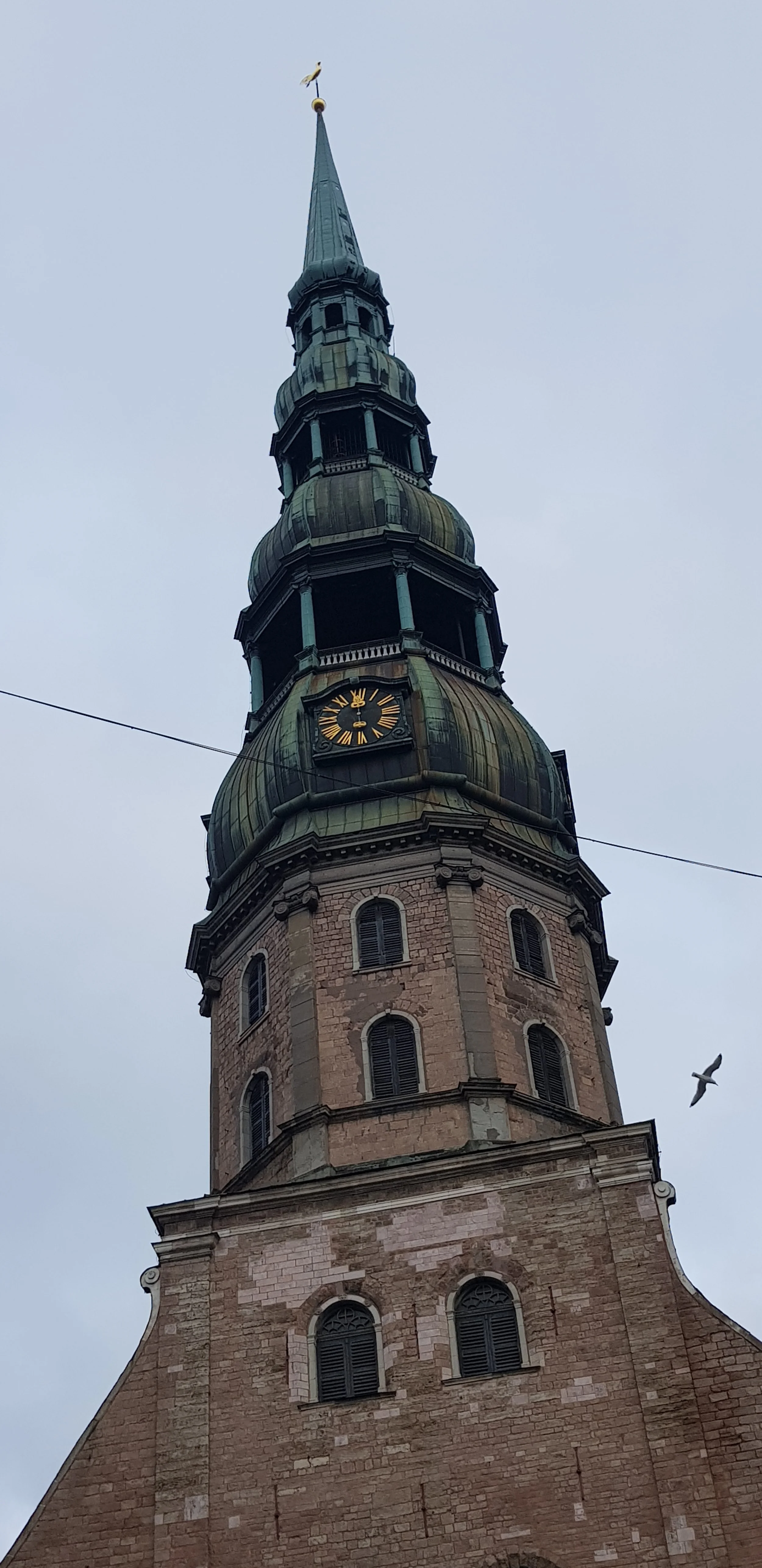 20200302_162834.jpg