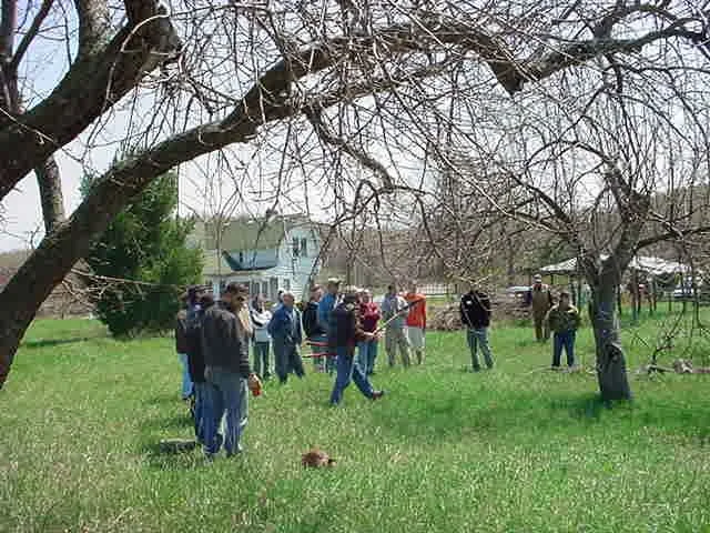 Prunning_Workshop_1.JPG