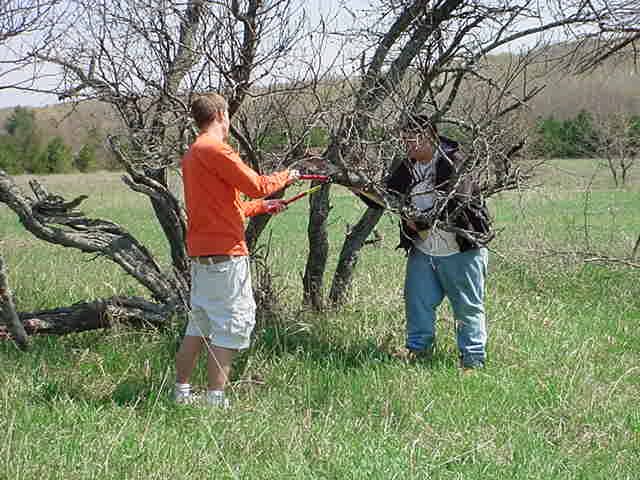 Prunning_Workshop_2.JPG