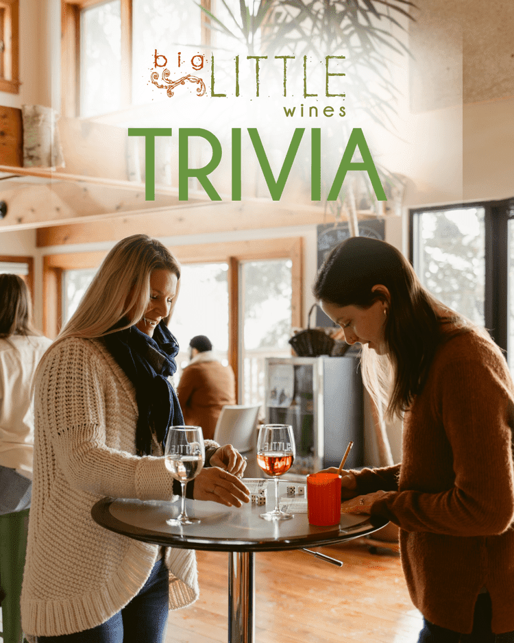 Big Little Hosts Trivia Night