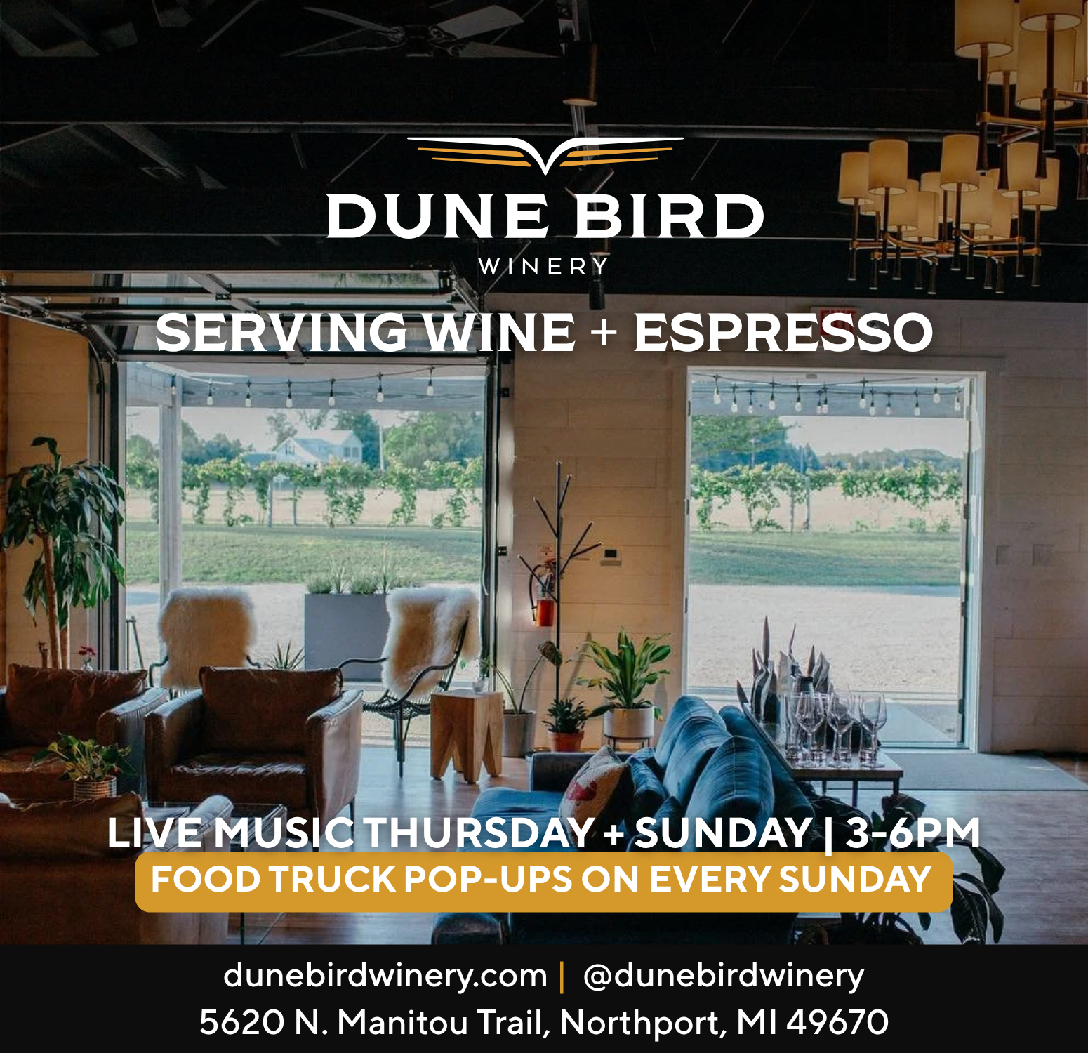 Dune Bird’s Live Music