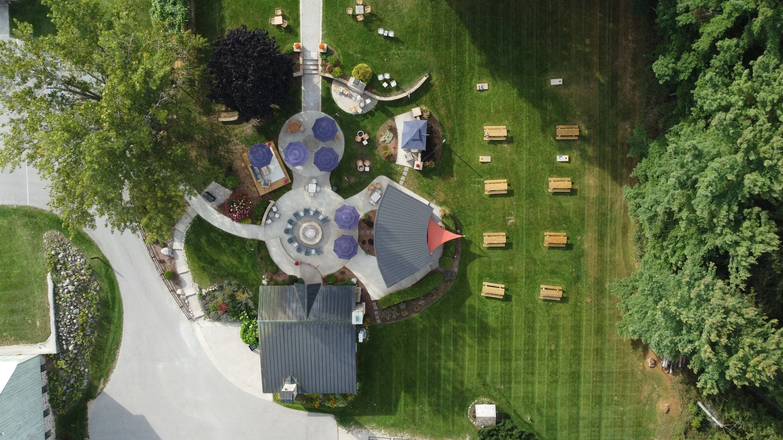 Overhead Shot TR - Liana.jpg
