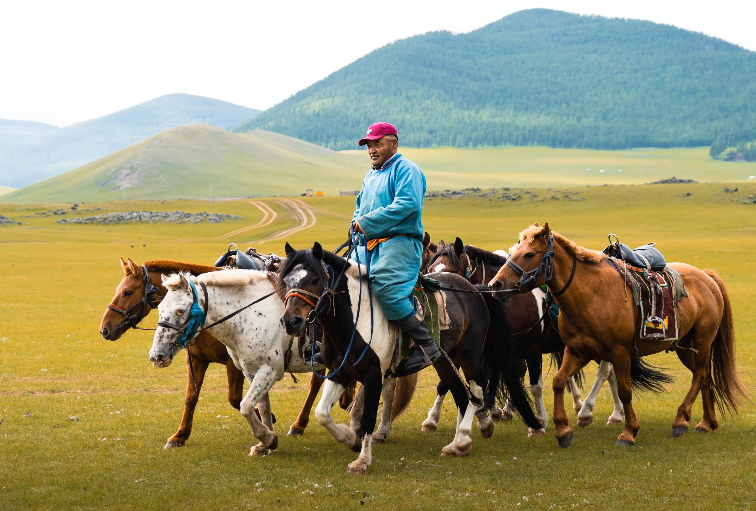 horse trek day 1-43.jpg