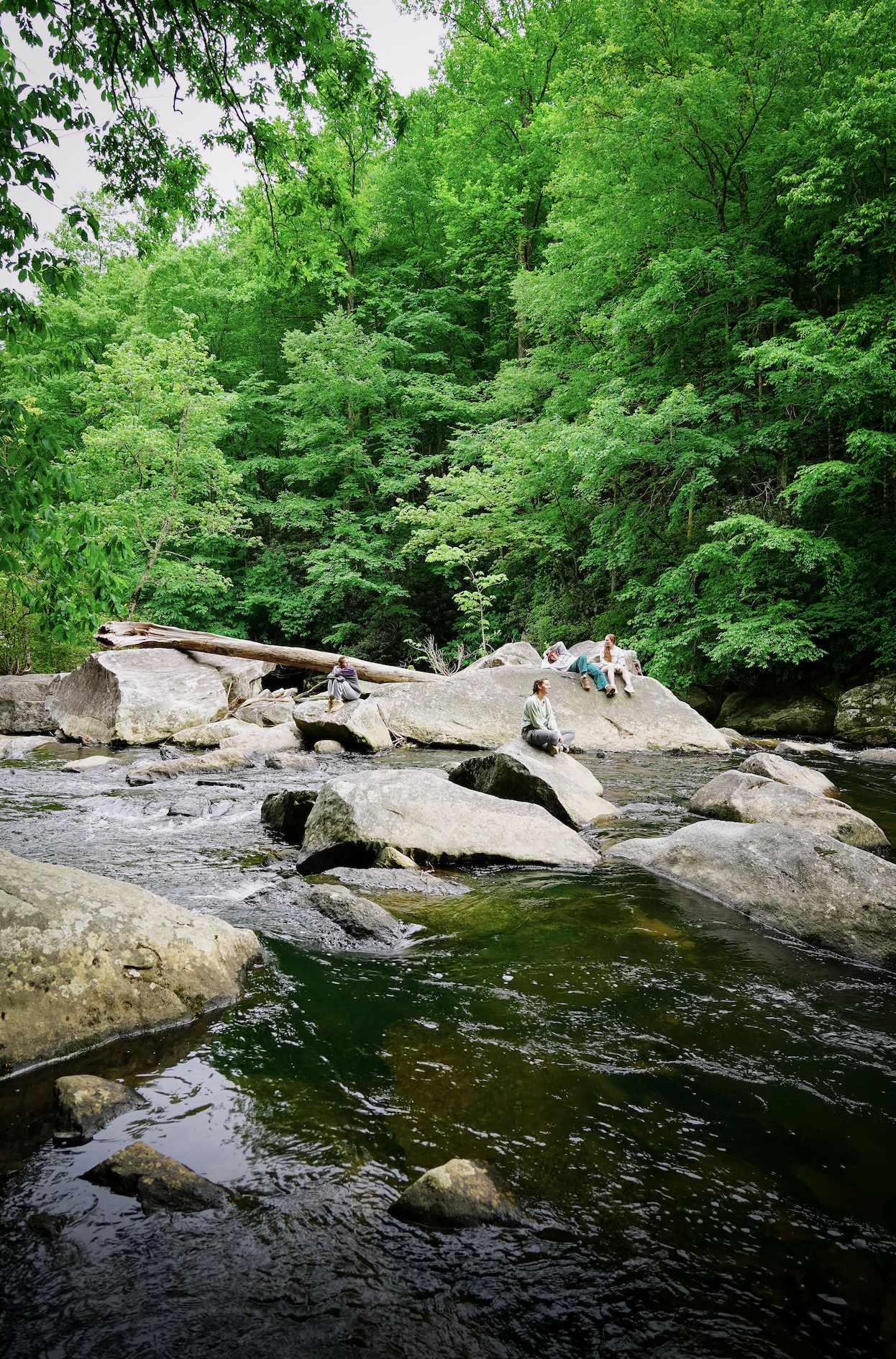 Screen Shot 2025-09-10 at 12.11.29 PM.png