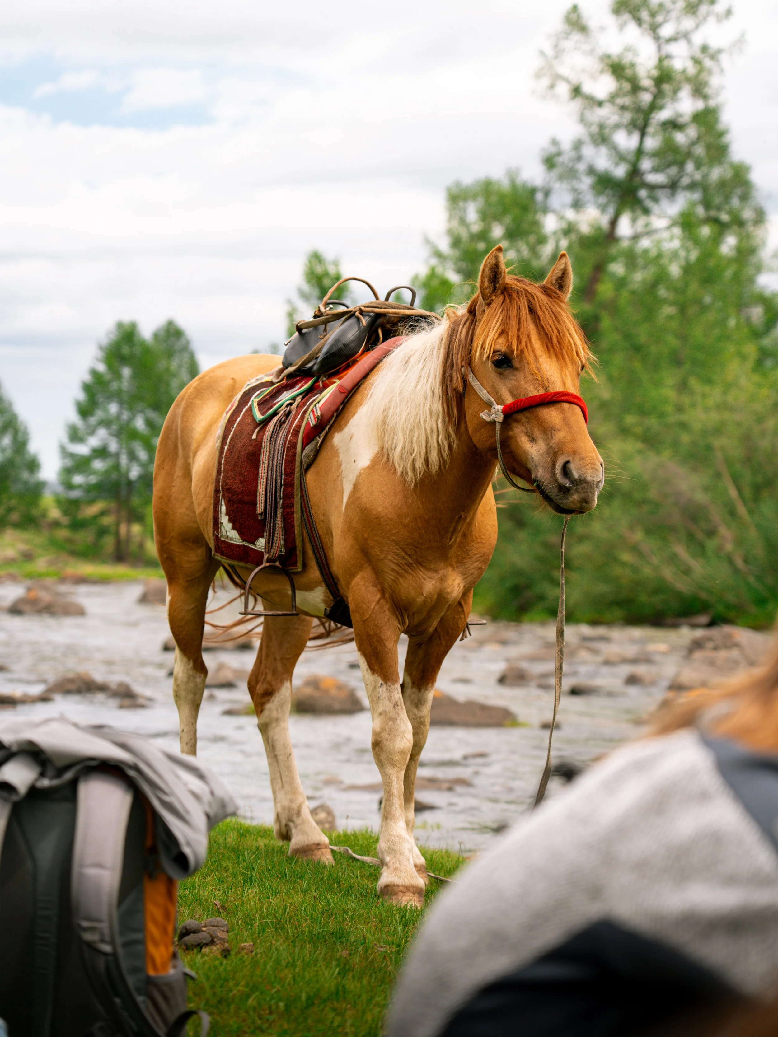 horse trek day 1-69.jpg