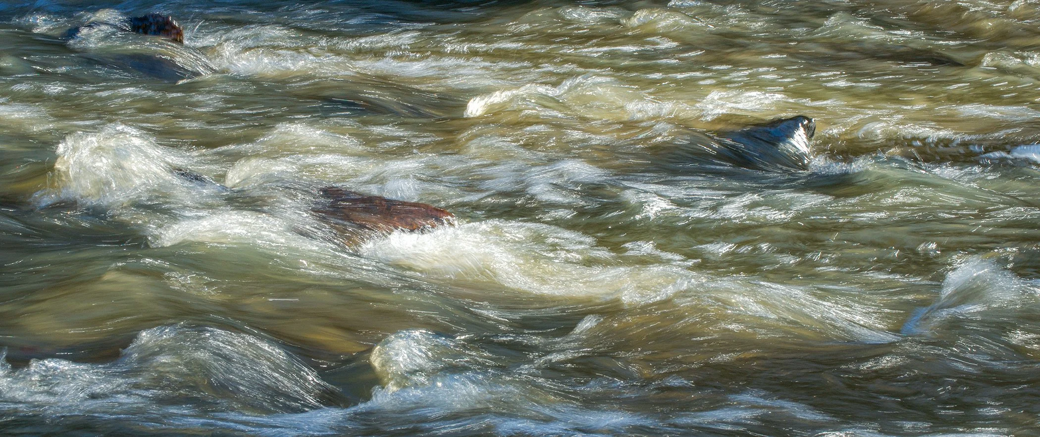 River In Oil .jpg