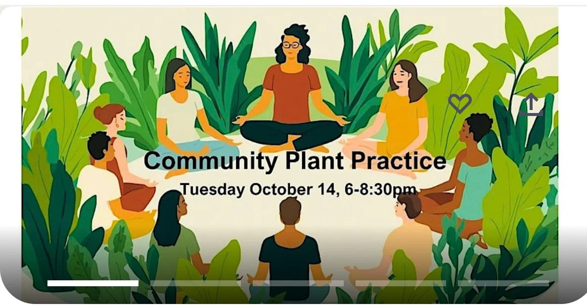 Community Plant Practice