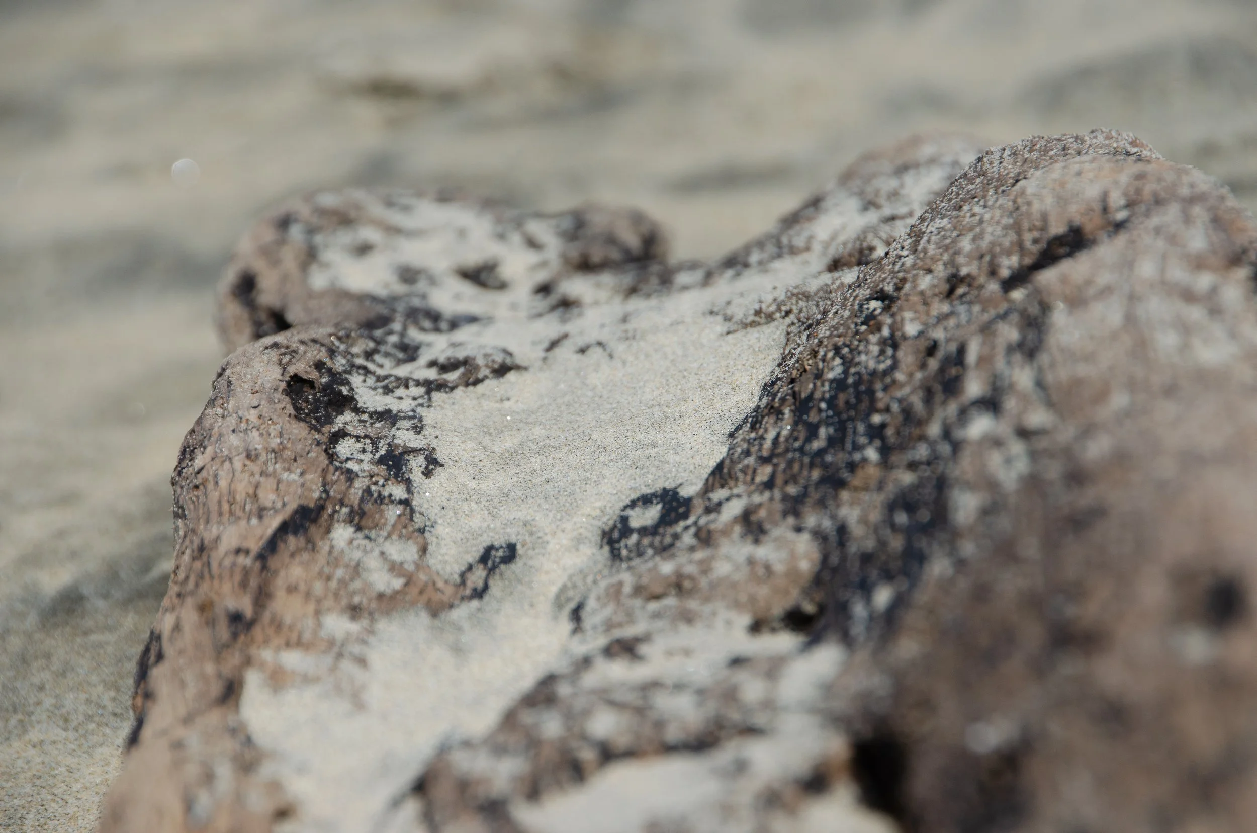 Puerto Escondido, Oaxaca, México, 2023