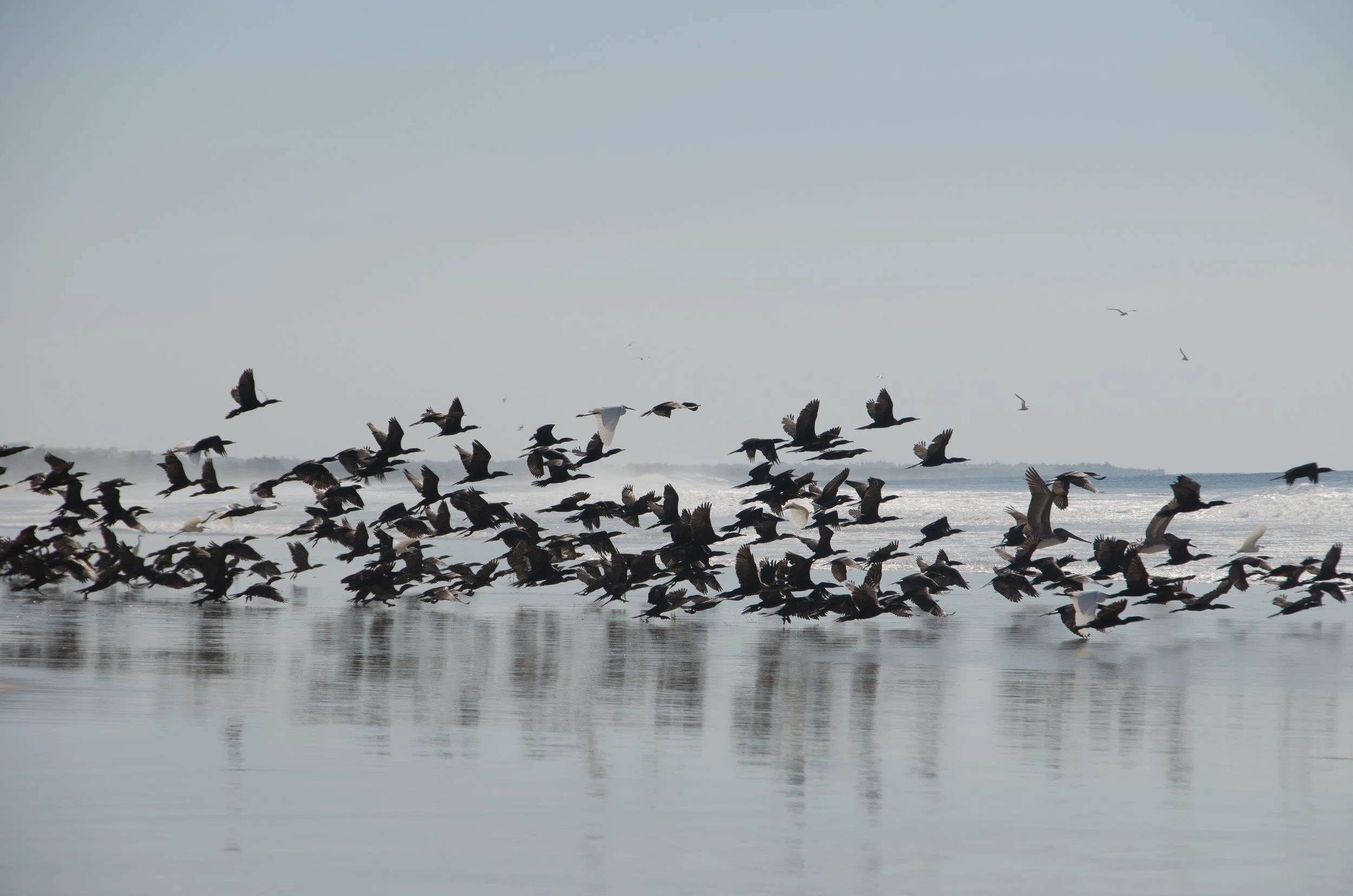 Puerto Escondido, Oaxaca, México, 2023