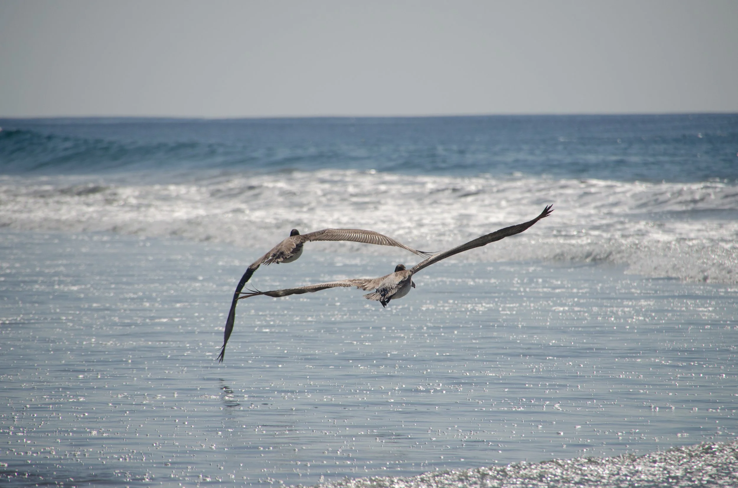 Puerto Escondido, Oaxaca, México, 2023