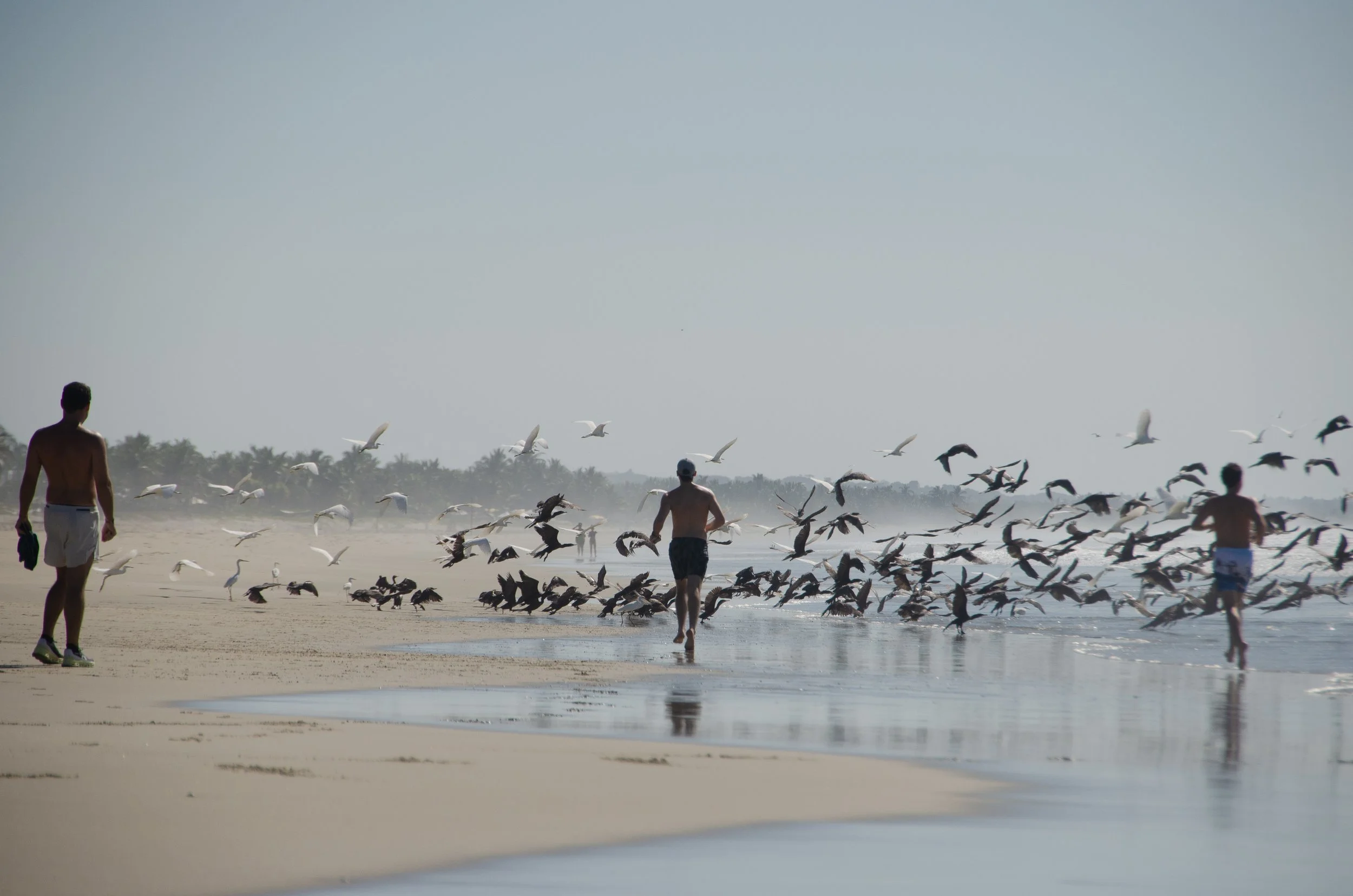 Puerto Escondido, Oaxaca, México, 2023