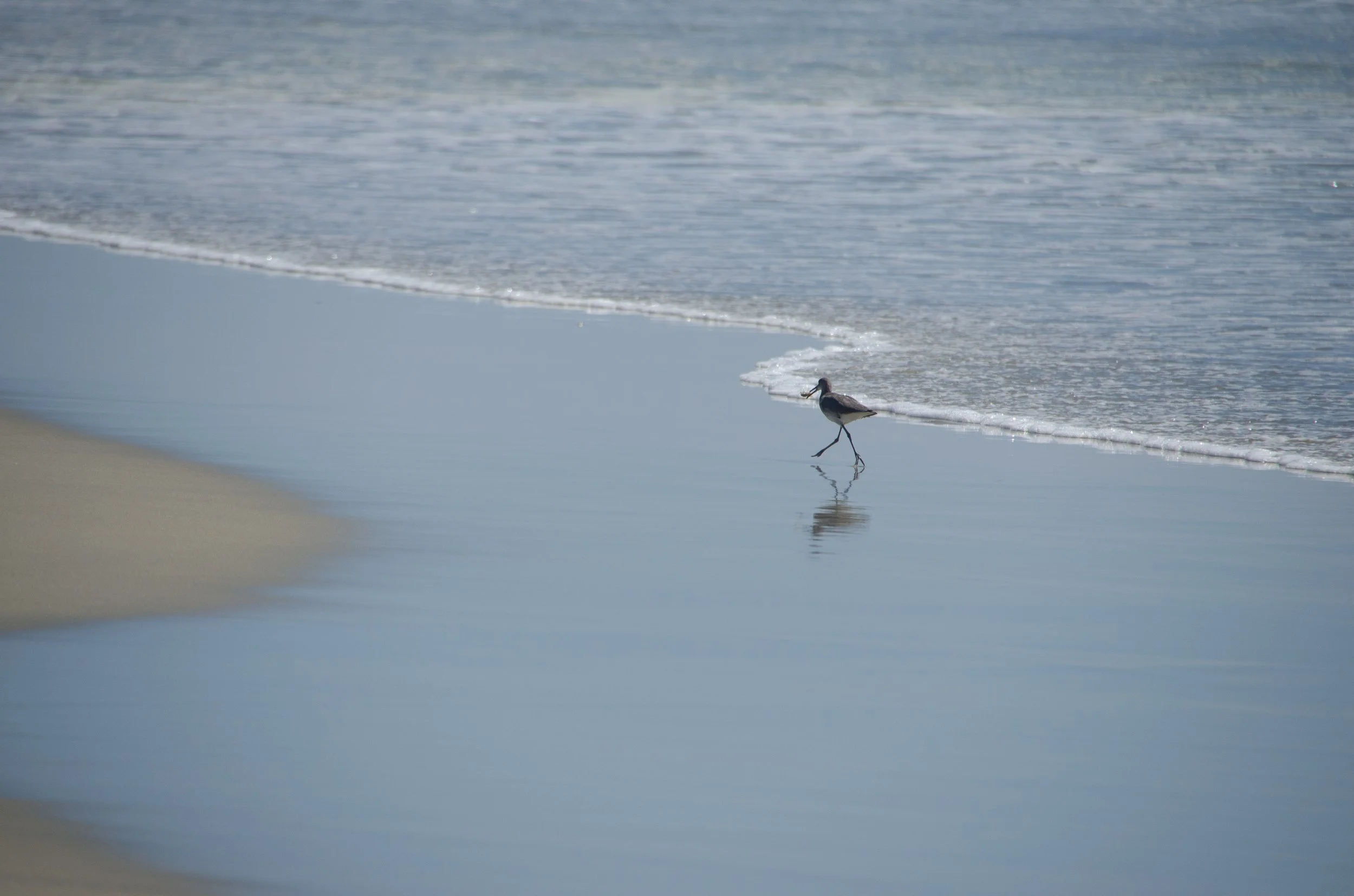 Puerto Escondido, Oaxaca, México, 2023
