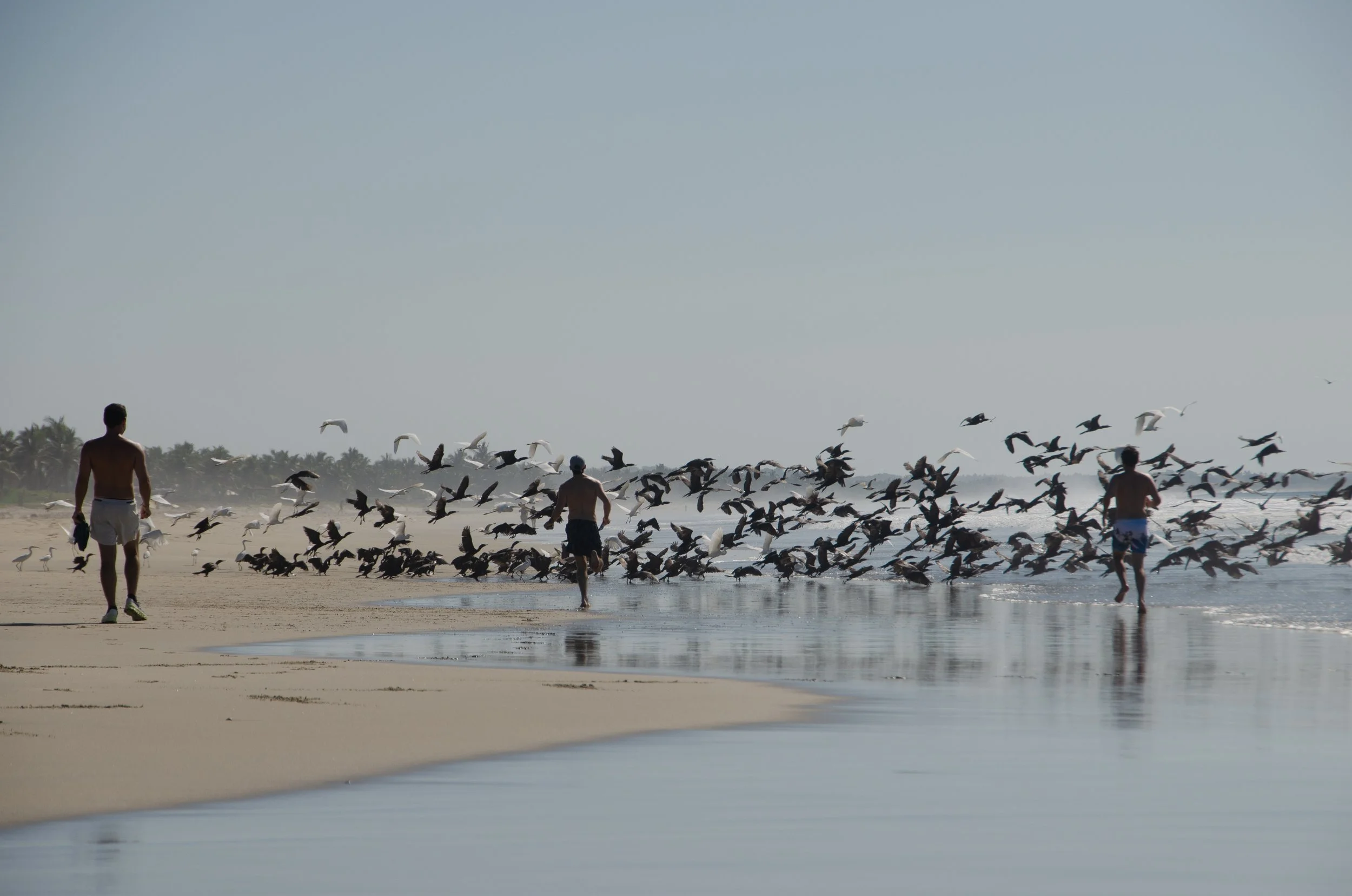 Puerto Escondido, Oaxaca, México, 2023