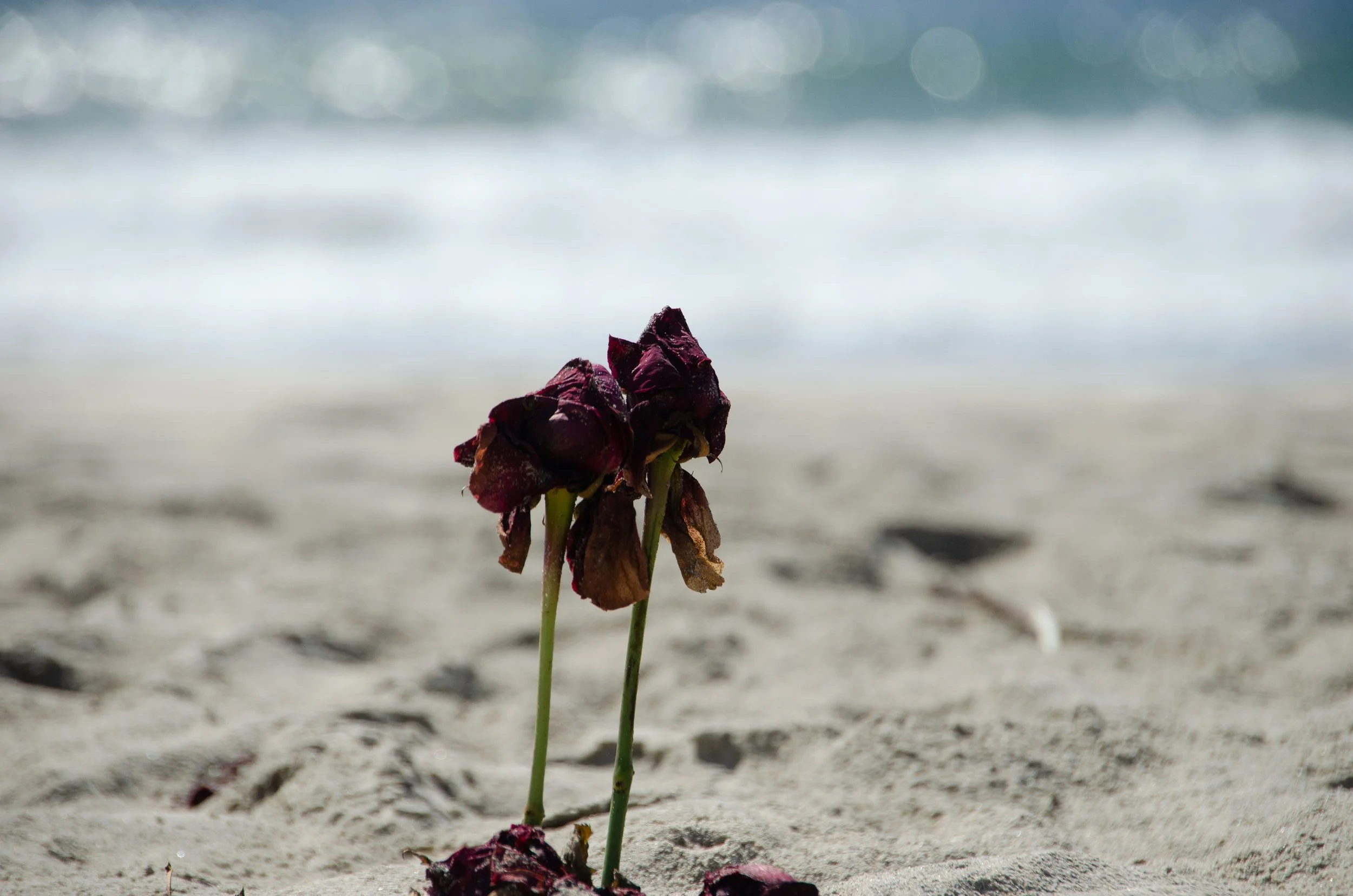 Puerto Escondido, Oaxaca, México, 2023