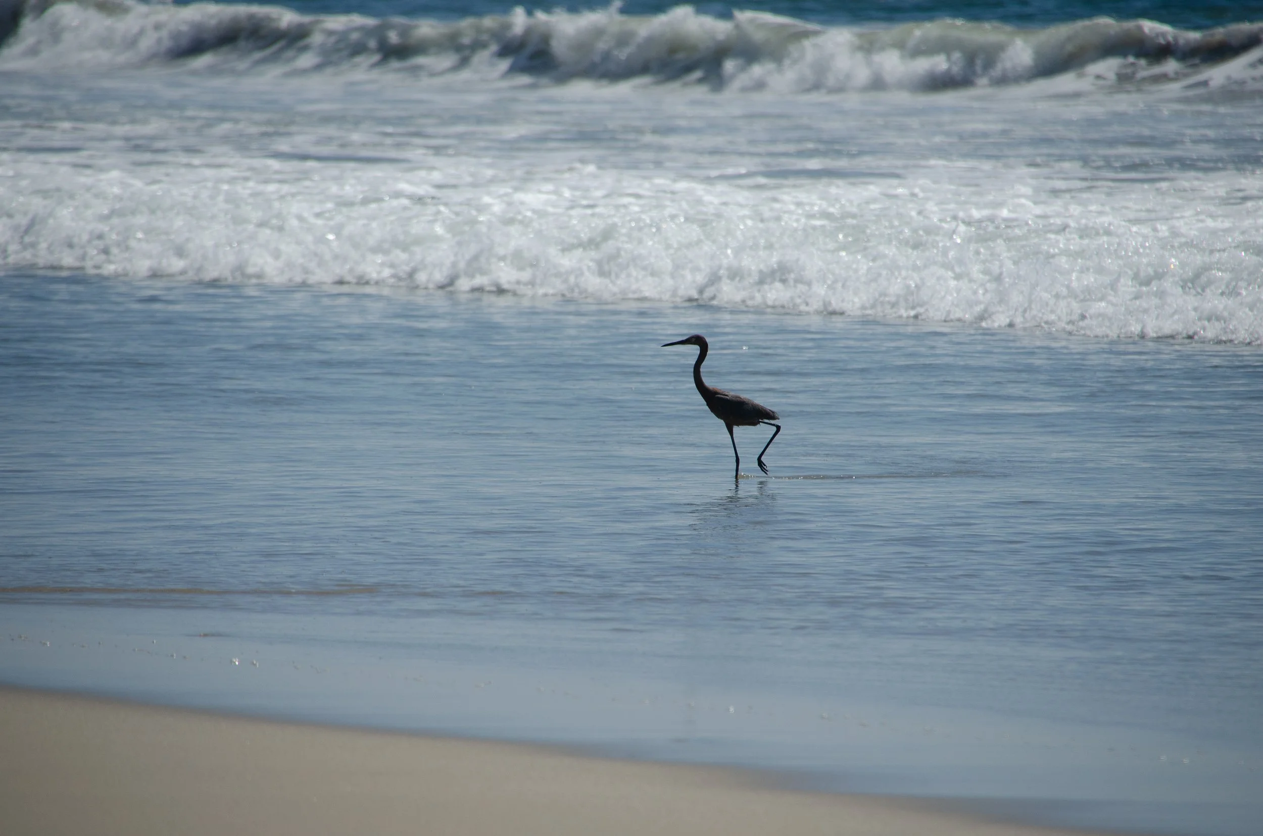 Puerto Escondido, Oaxaca, México, 2023