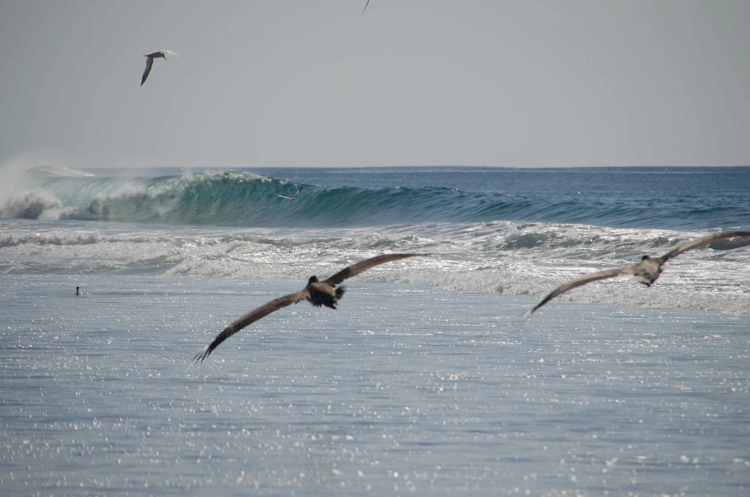 Puerto Escondido, Oaxaca, México, 2023