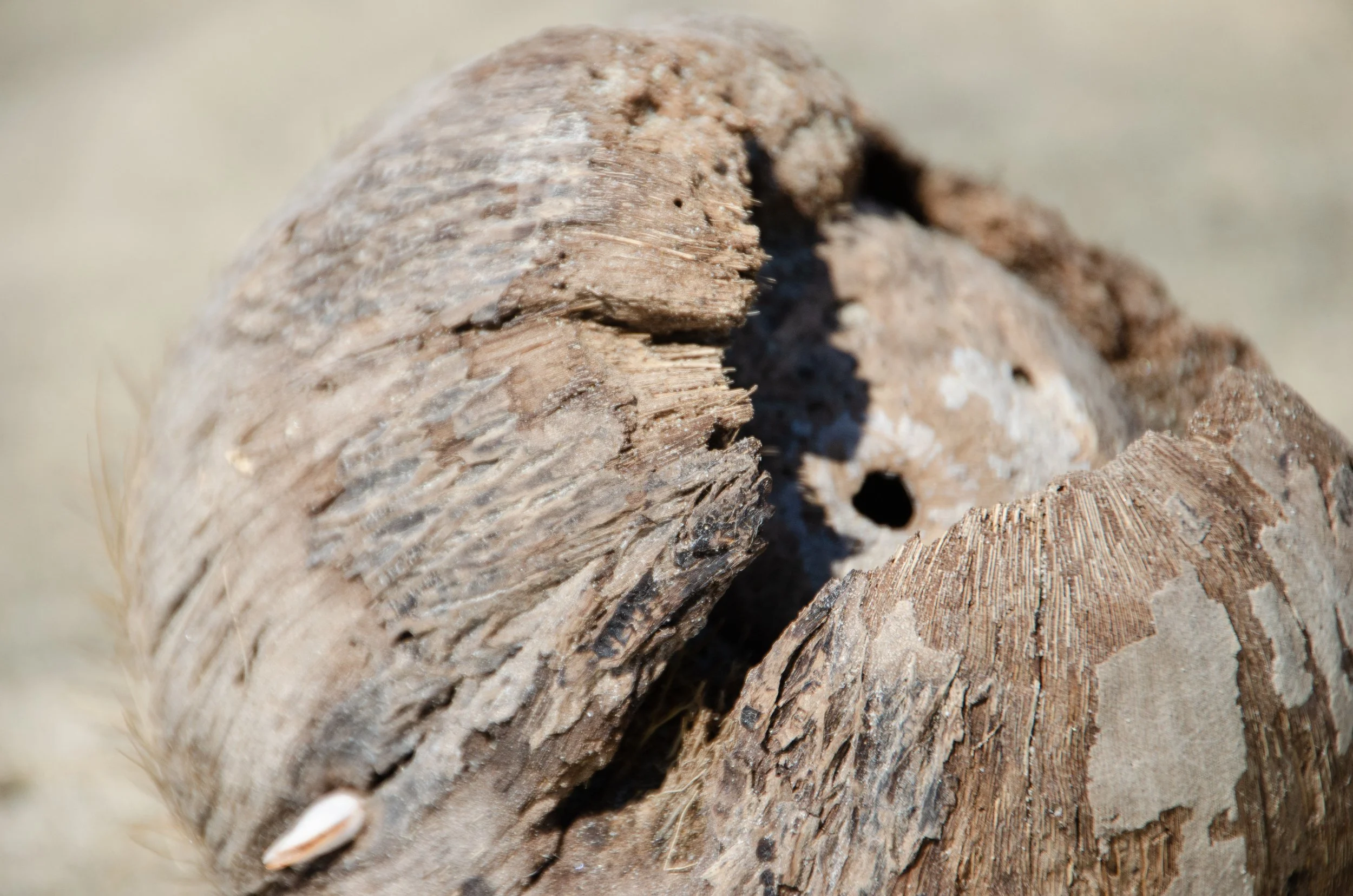 Puerto Escondido, Oaxaca, México, 2023