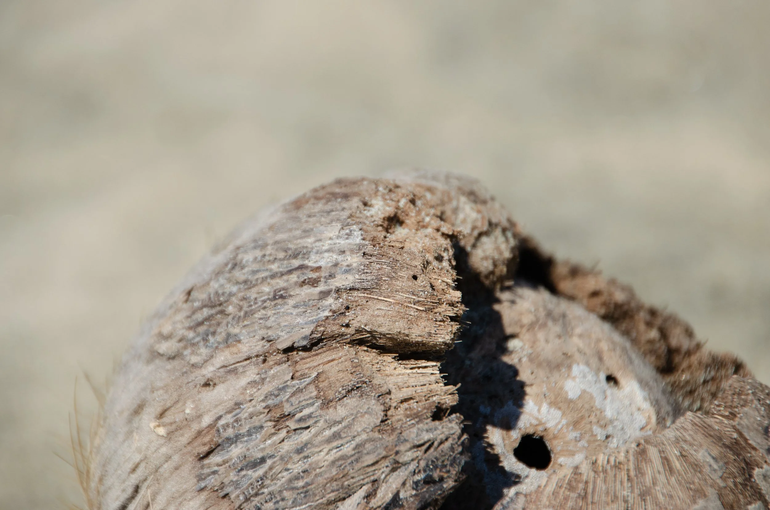 Puerto Escondido, Oaxaca, México, 2023