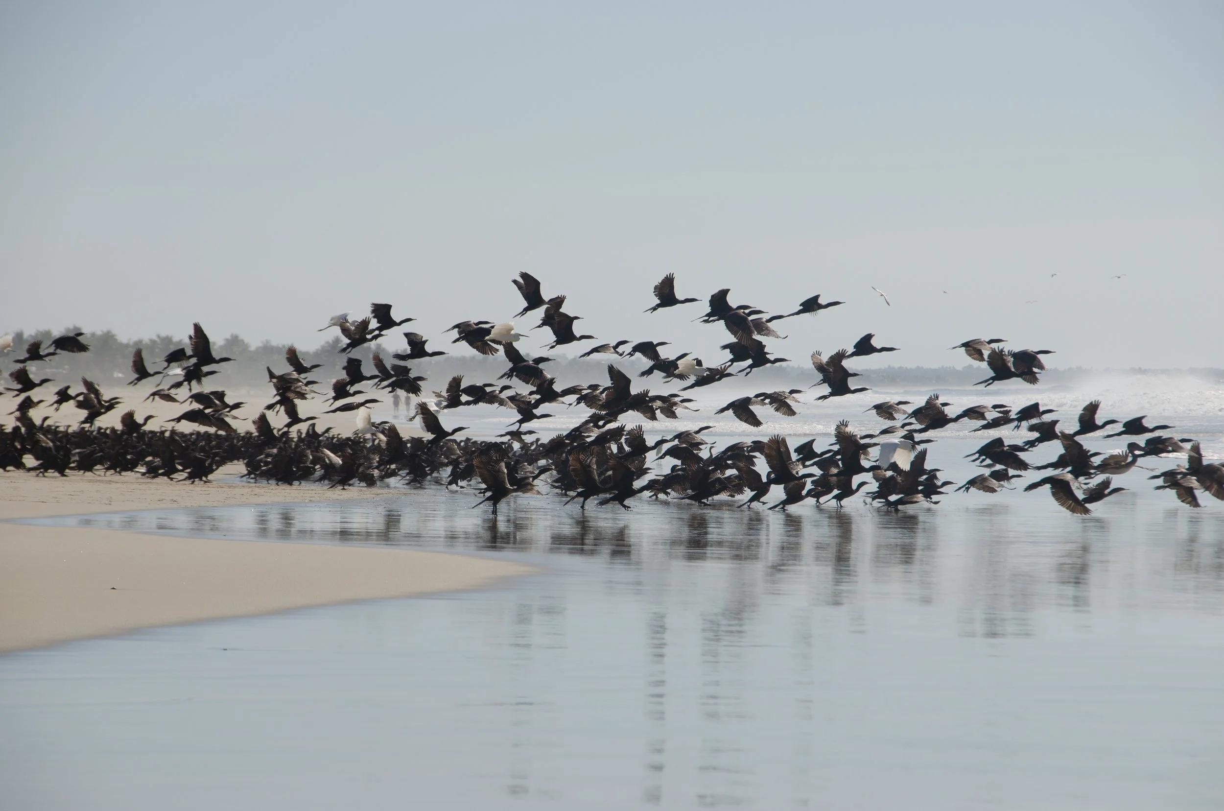 Puerto Escondido, Oaxaca, México, 2023