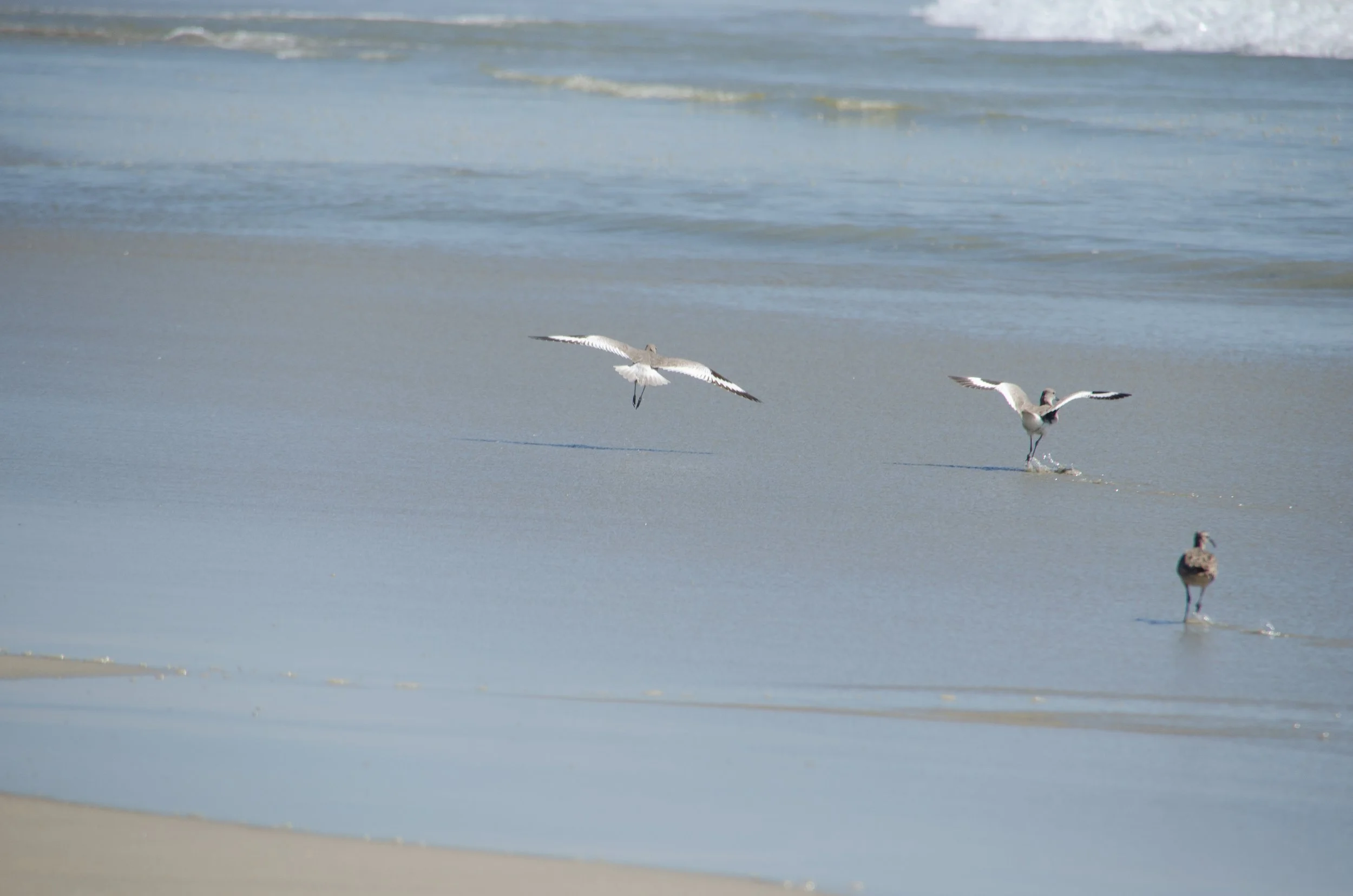 Puerto Escondido, Oaxaca, México, 2023