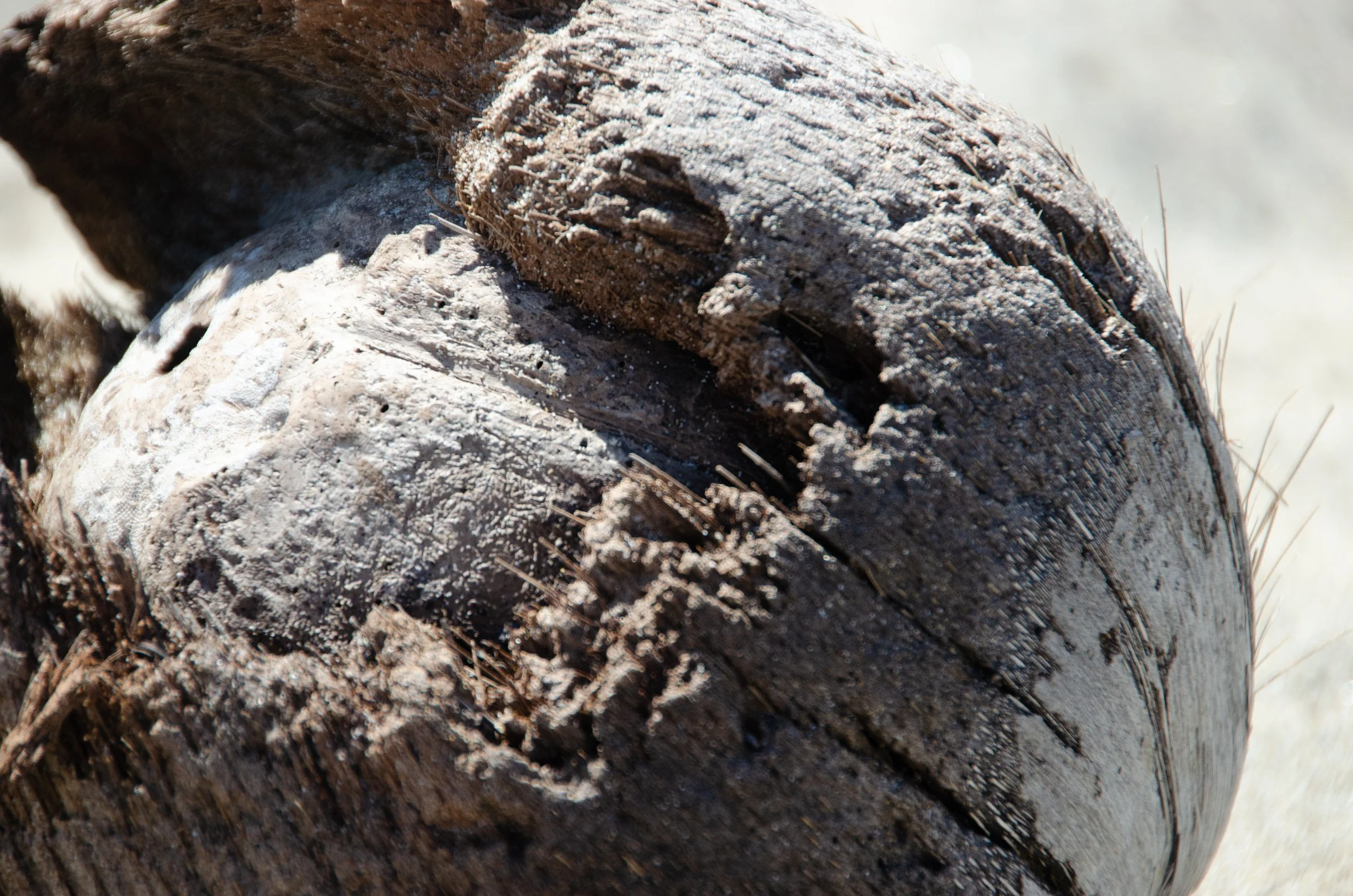 Puerto Escondido, Oaxaca, México, 2023