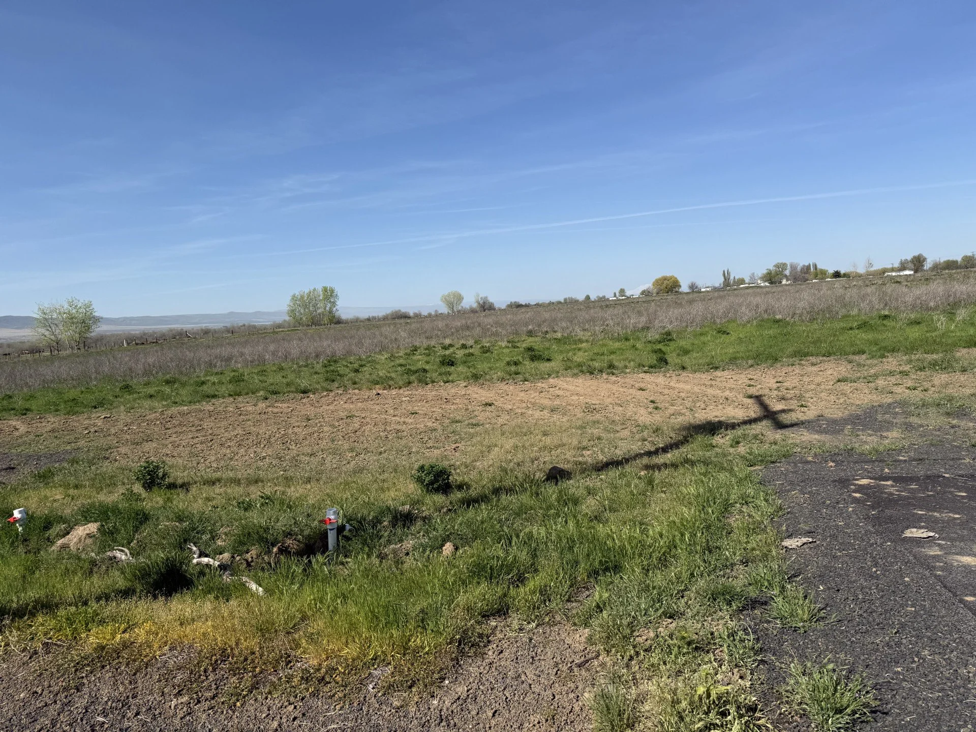 TBD Wilgus Rd. Lot 3 Prosser, WA 99350