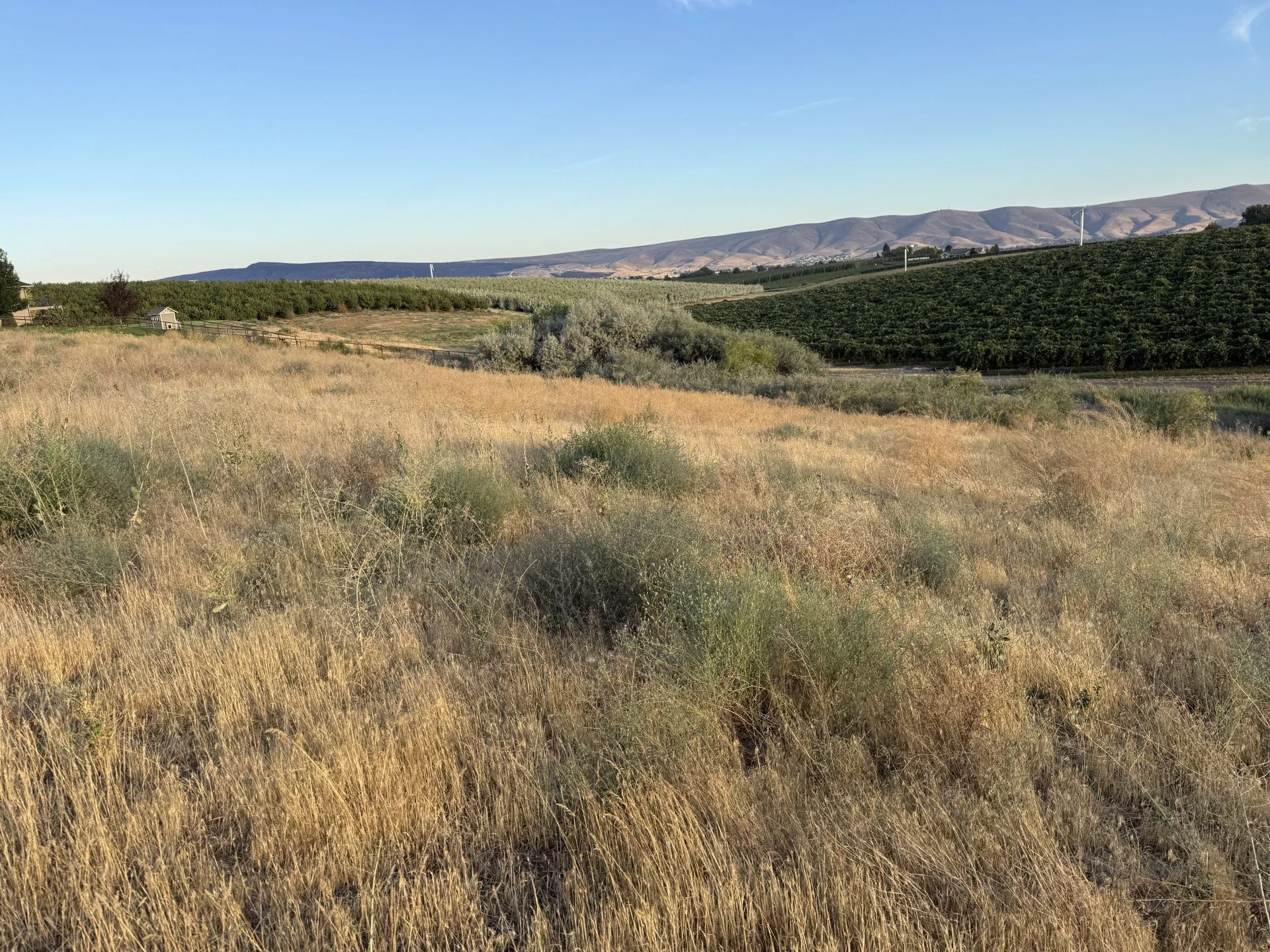 TBD McCreadie Rd., Prosser, WA 99350