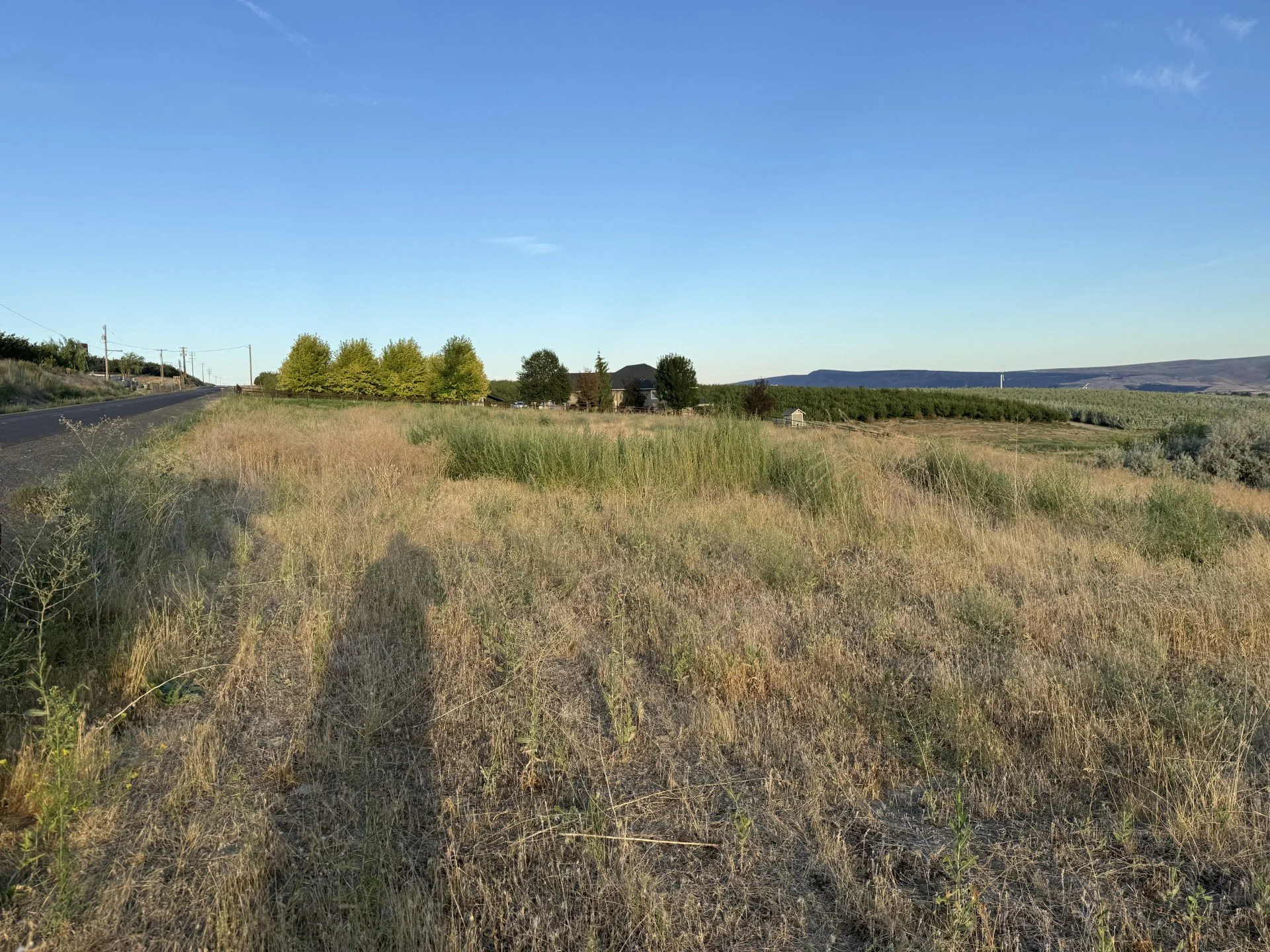 TBD McCreadie Rd., Prosser, WA 99350