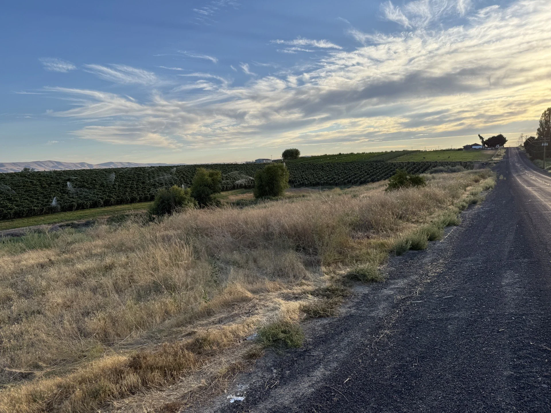 TBD McCreadie Rd., Prosser, WA 99350