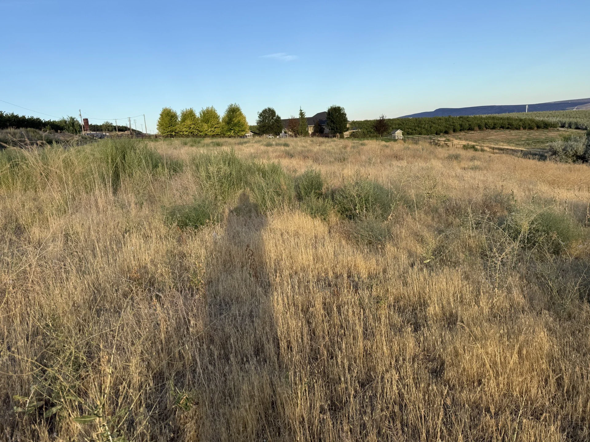 TBD McCreadie Rd., Prosser, WA 99350