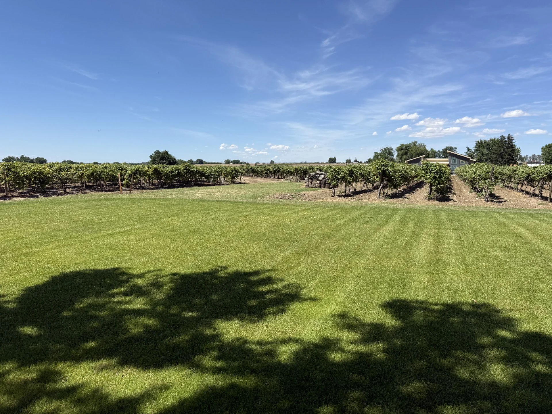 1170 Lower County Line Rd., WA 99350