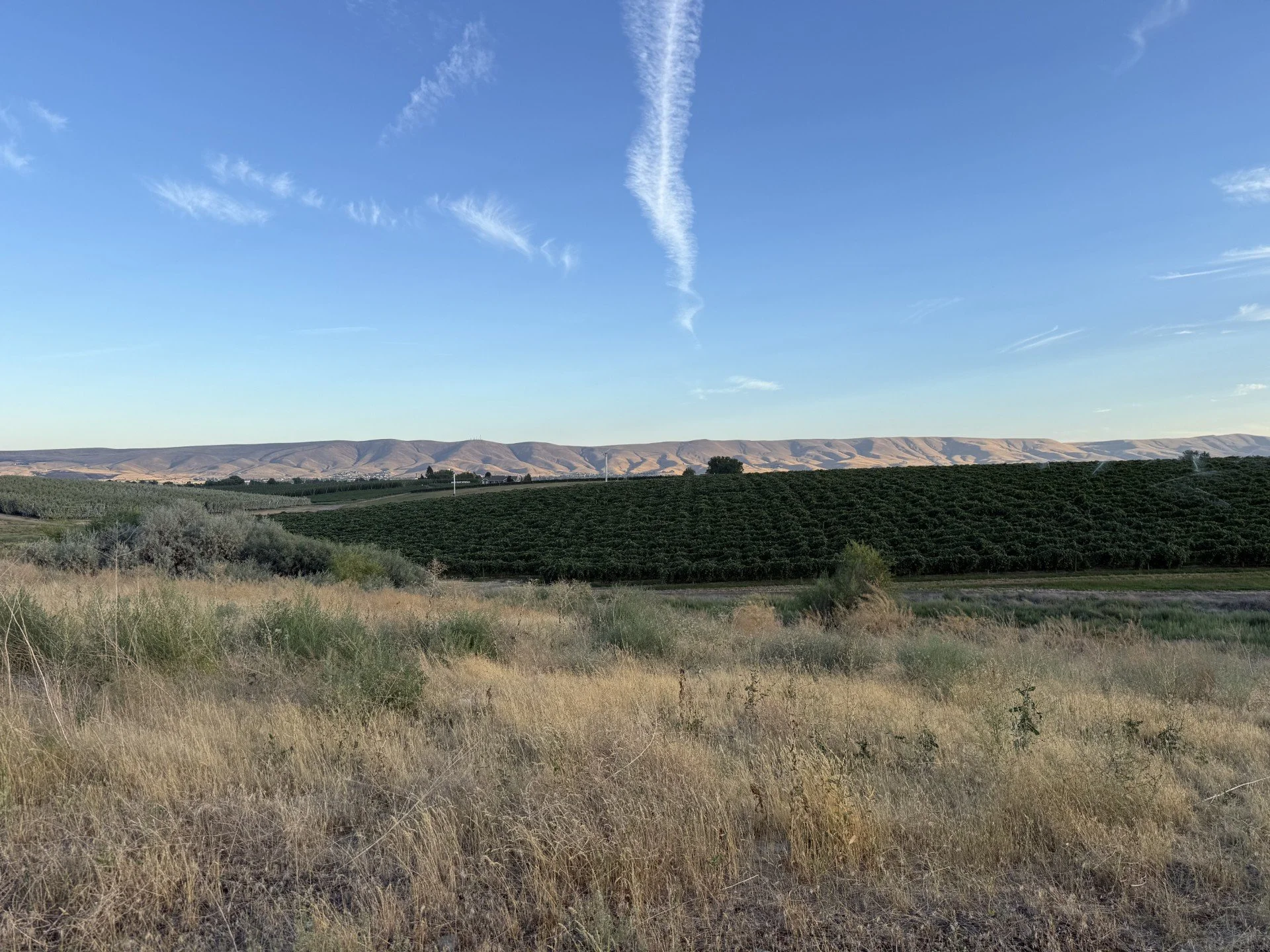 TBD McCreadie Rd., Prosser, WA 99350