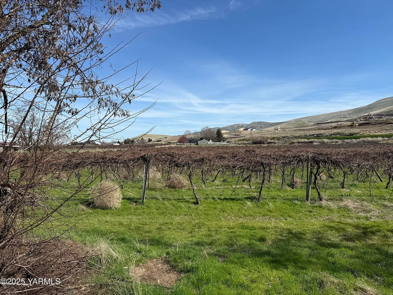TBD Richards Rd., Prosser, WA 99350