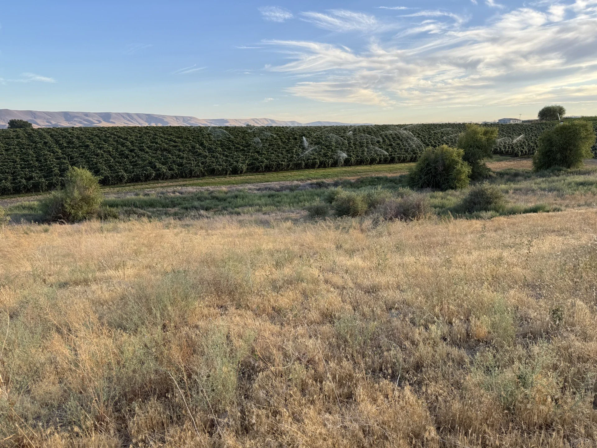 TBD McCreadie Rd., Prosser, WA 99350