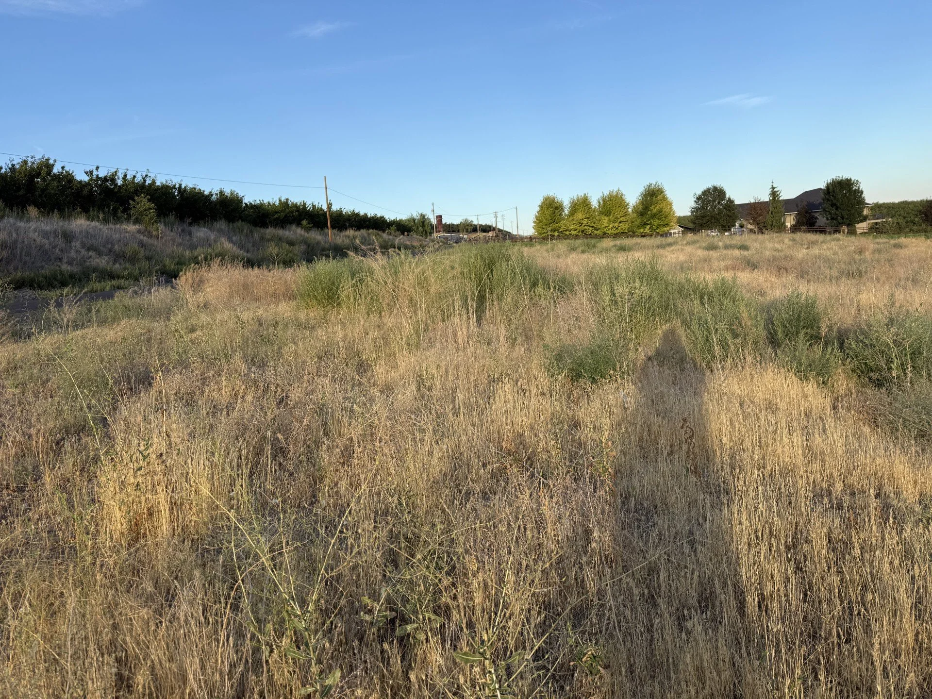 TBD McCreadie Rd., Prosser, WA 99350