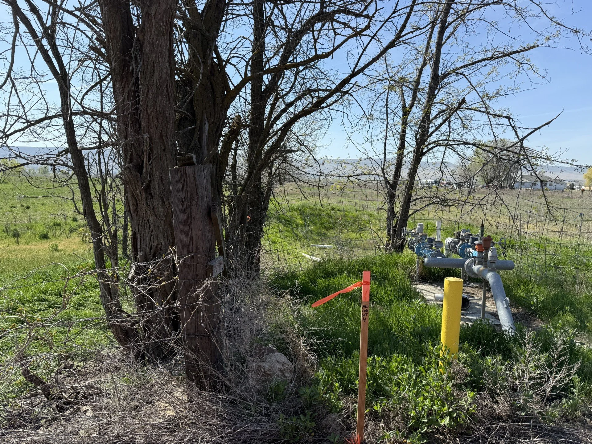 TBD Wilgus Rd. Lot 1 Prosser, WA 99350