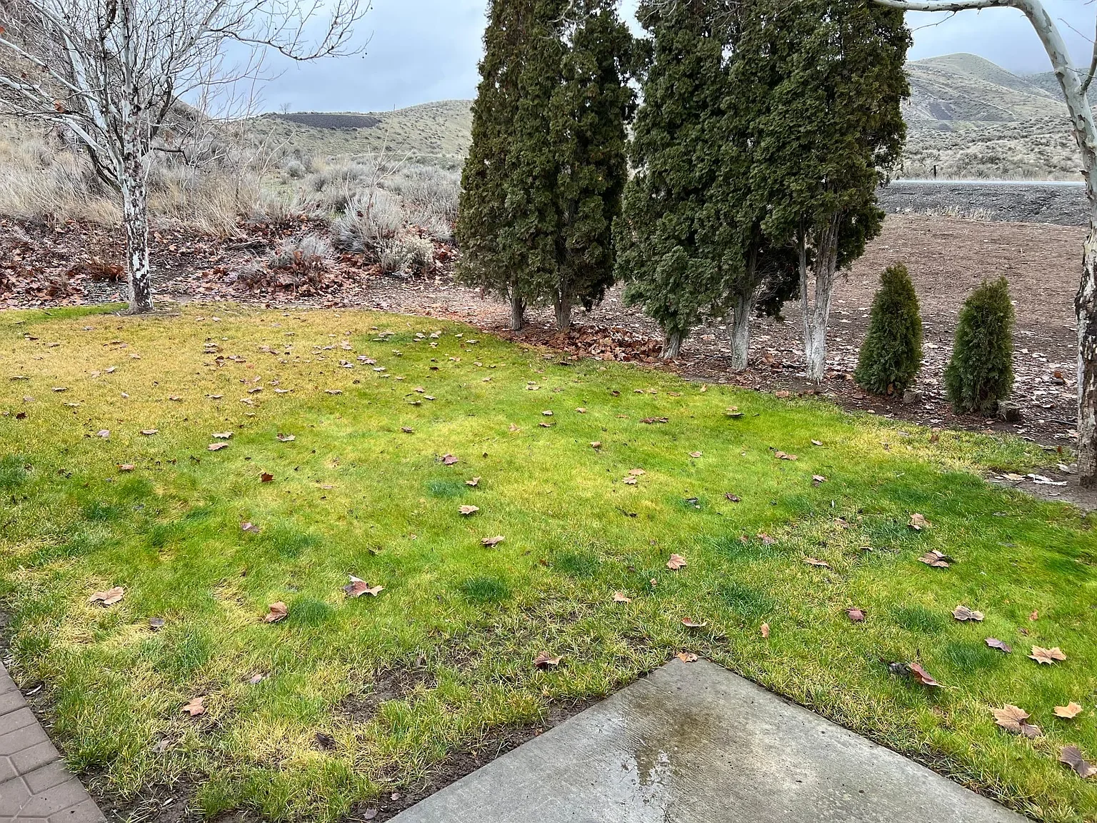 1103 Colena St. #B Prosser, WA 99350