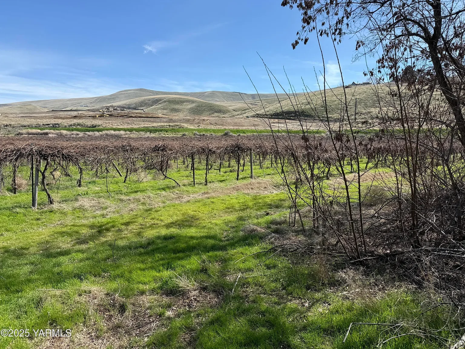 TBD Richards Rd., Prosser, WA 99350