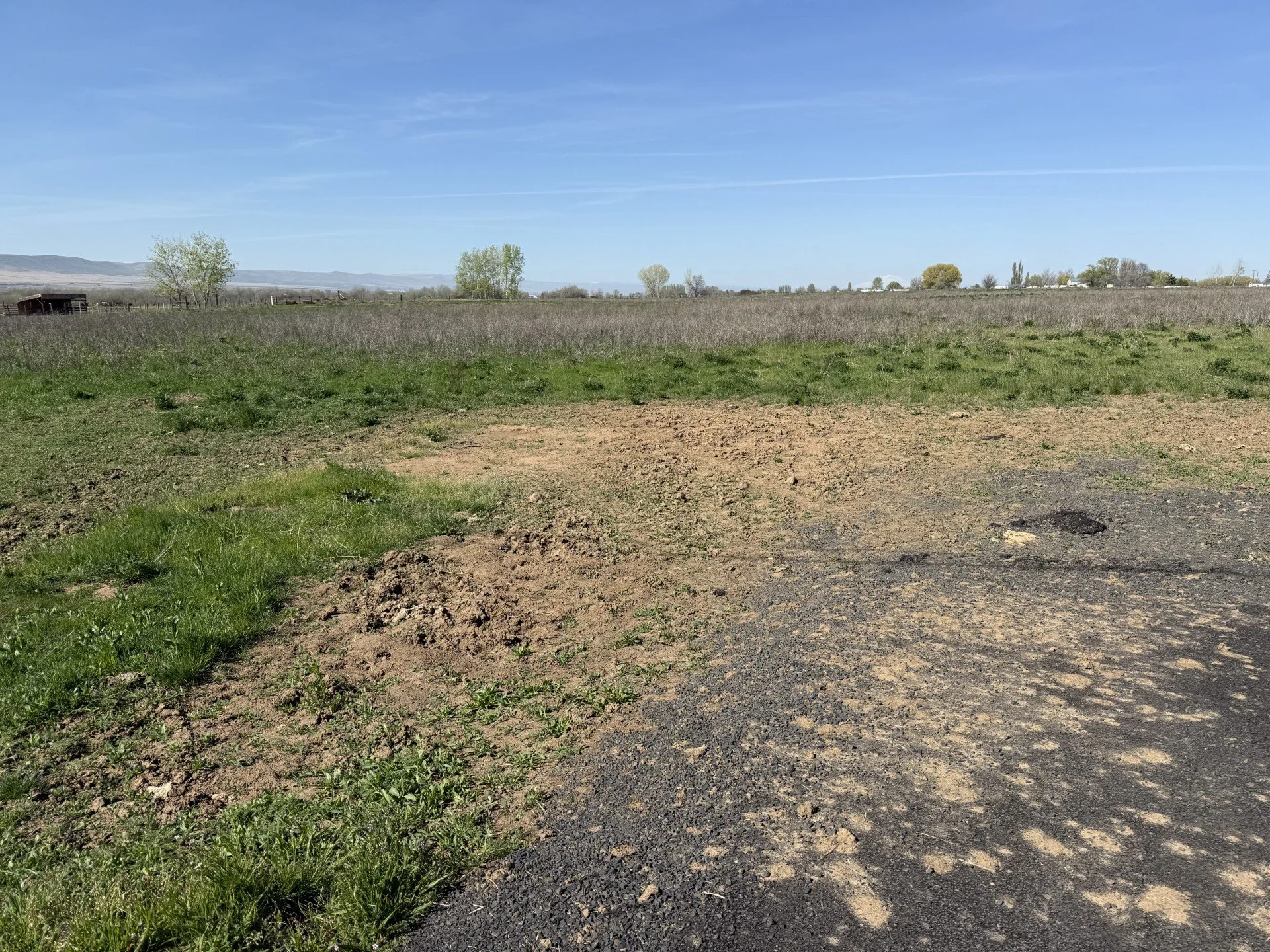TBD Wilgus Rd. Lot 3 Prosser, WA 99350