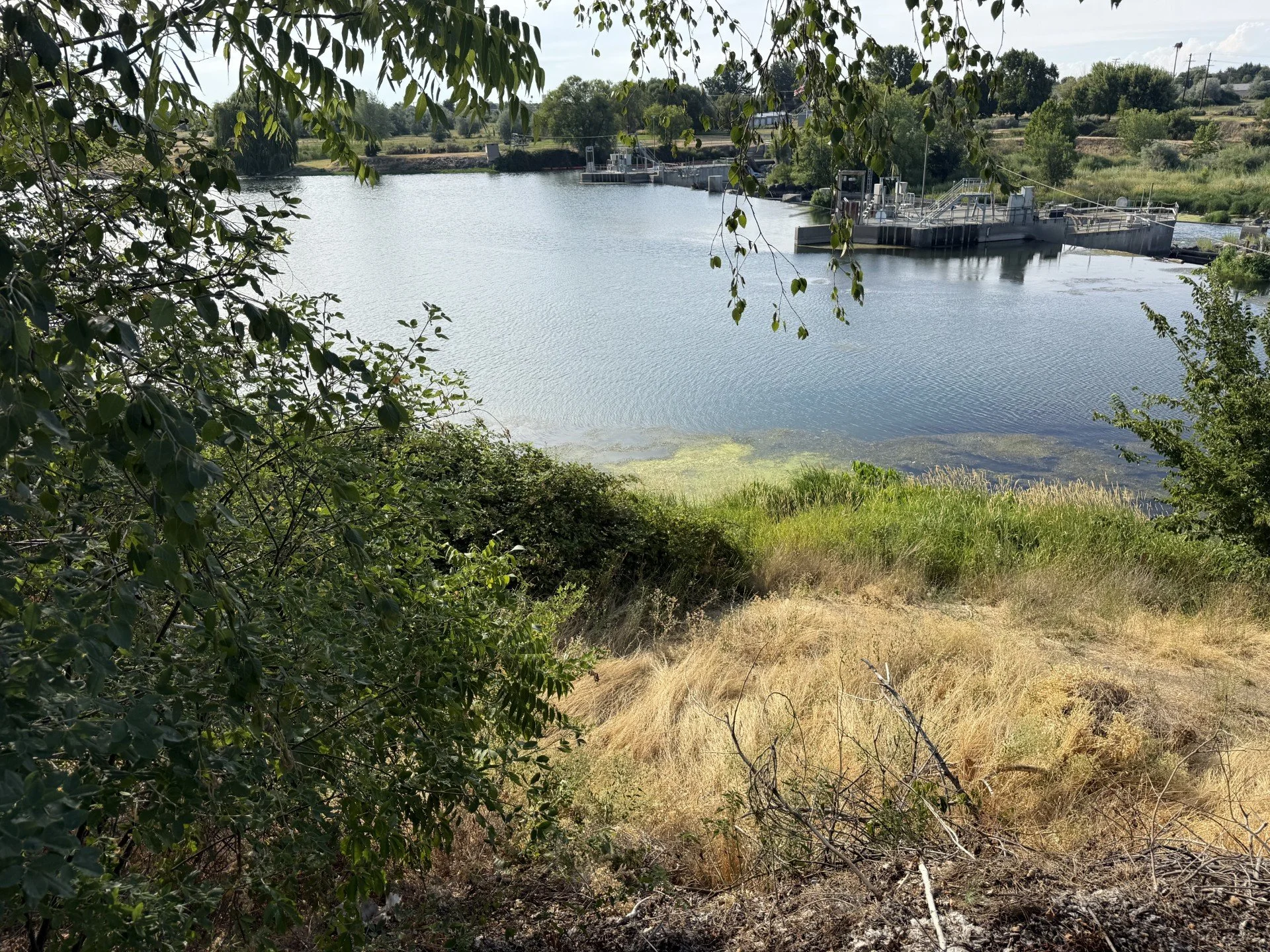 1425 Riverside Drive, Prosser, WA 99350