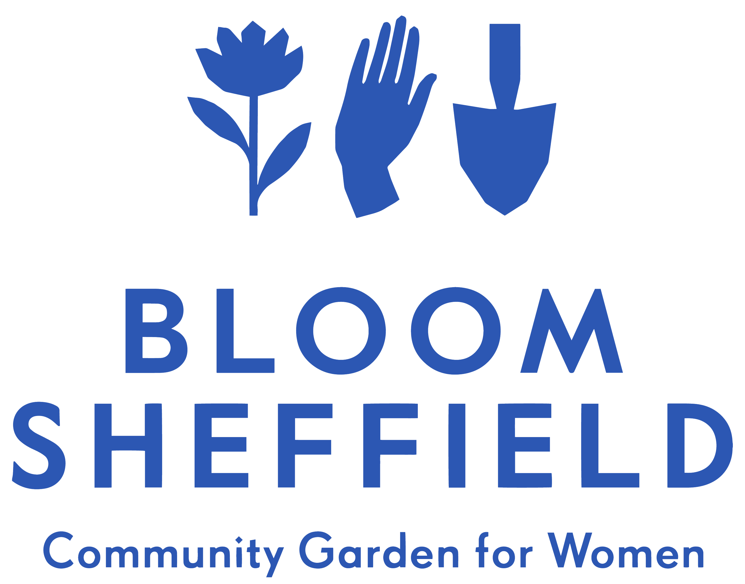 Florist Series: How To Dry Flowers — Bloom Sheffield