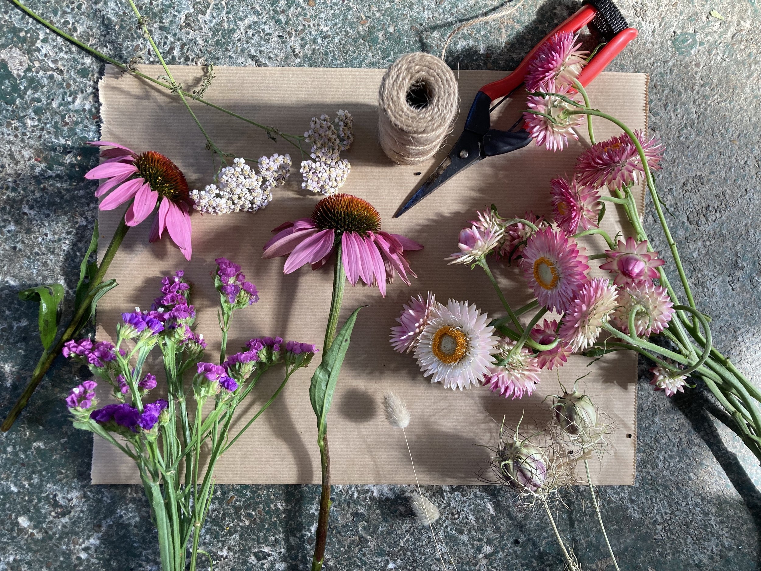 Florist Series: How To Dry Flowers — Bloom Sheffield