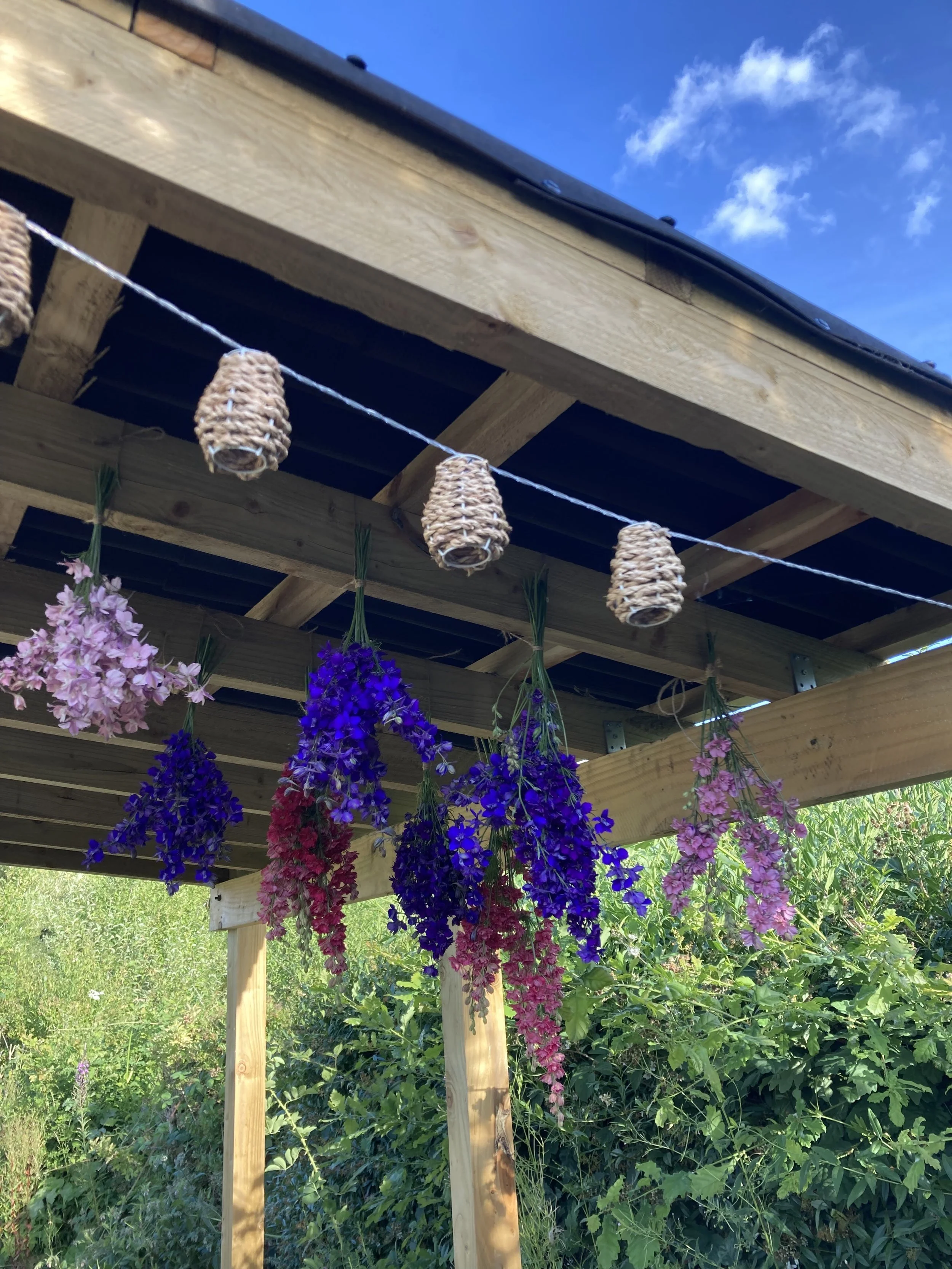 Dried Flowers Bloom.jpg