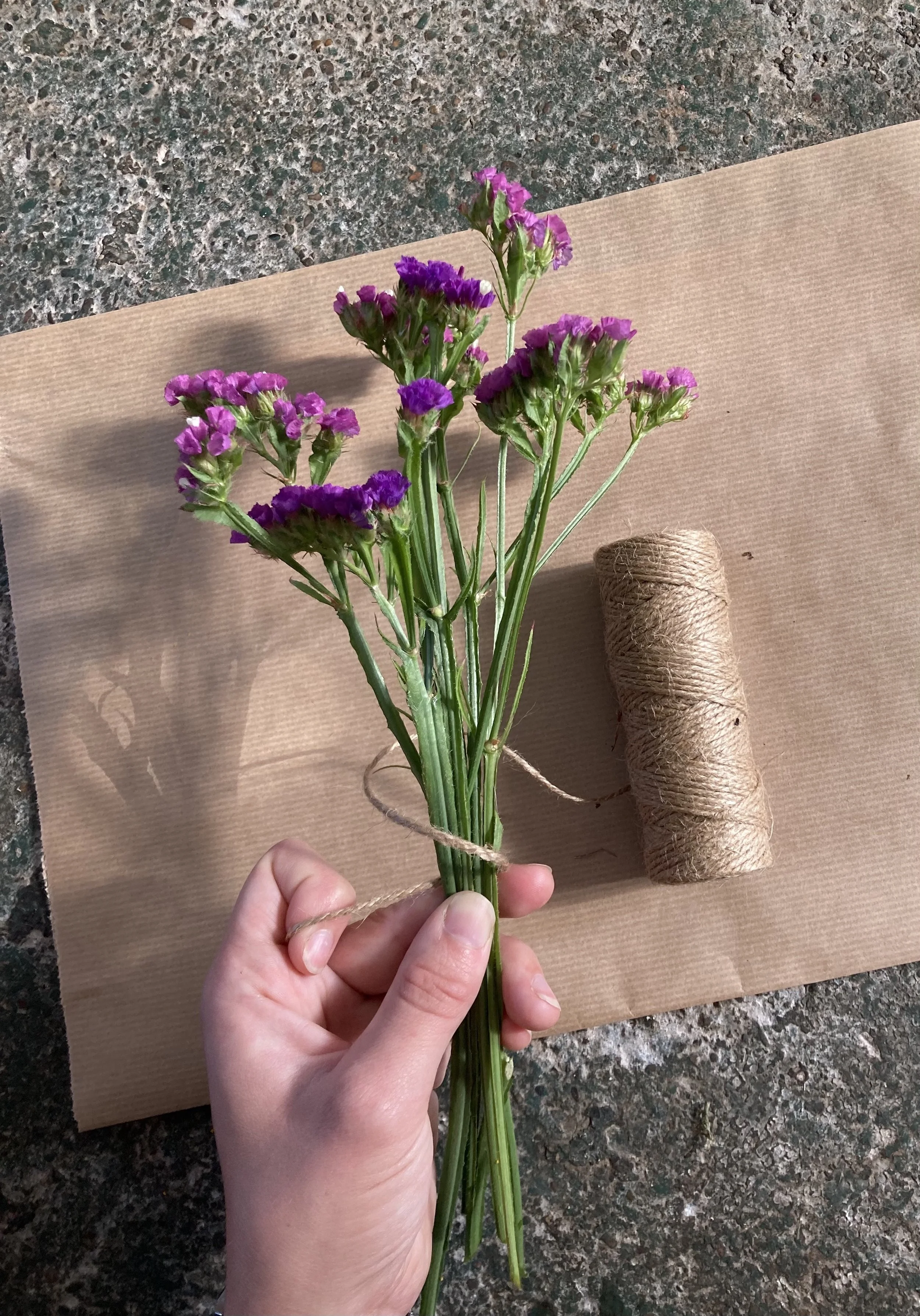 Dried Flowers Bloom 2.jpg