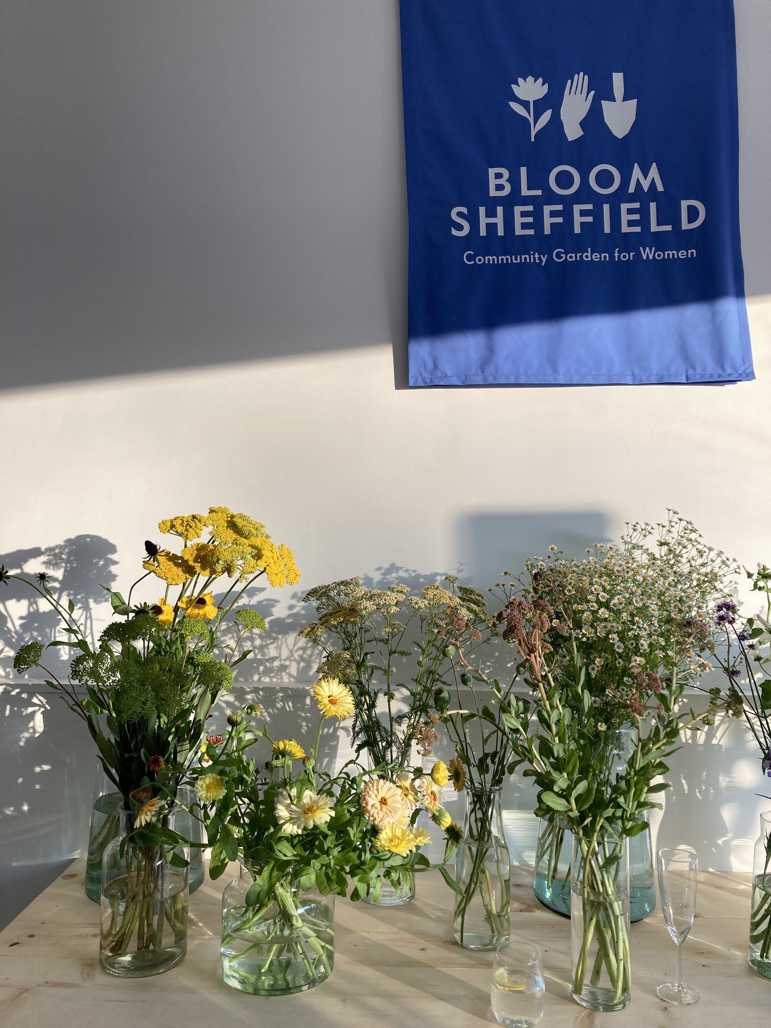 Bloom Sheffield Shop 4.jpg