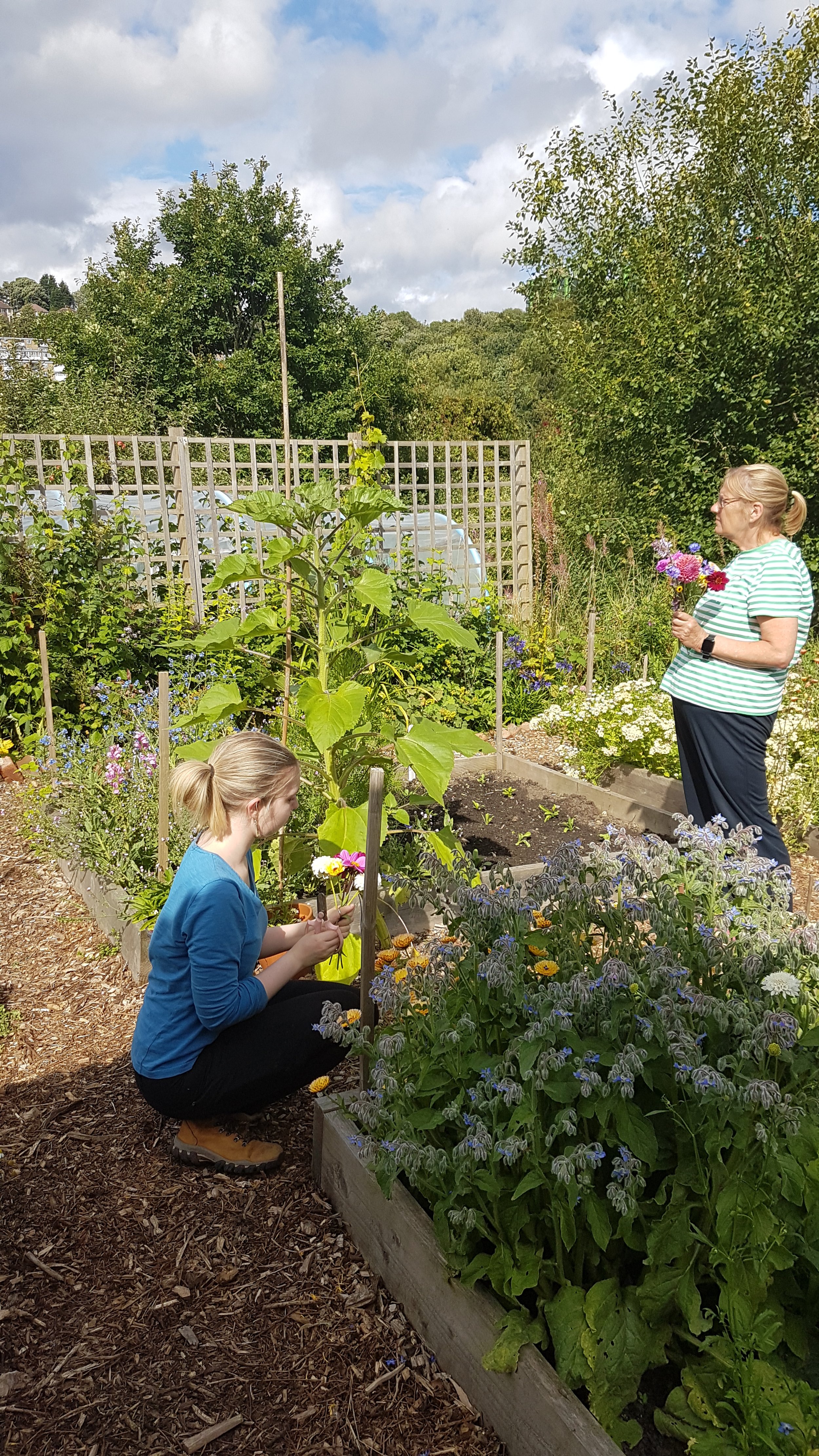 Bloom Sheffield Gardening Group.jpg