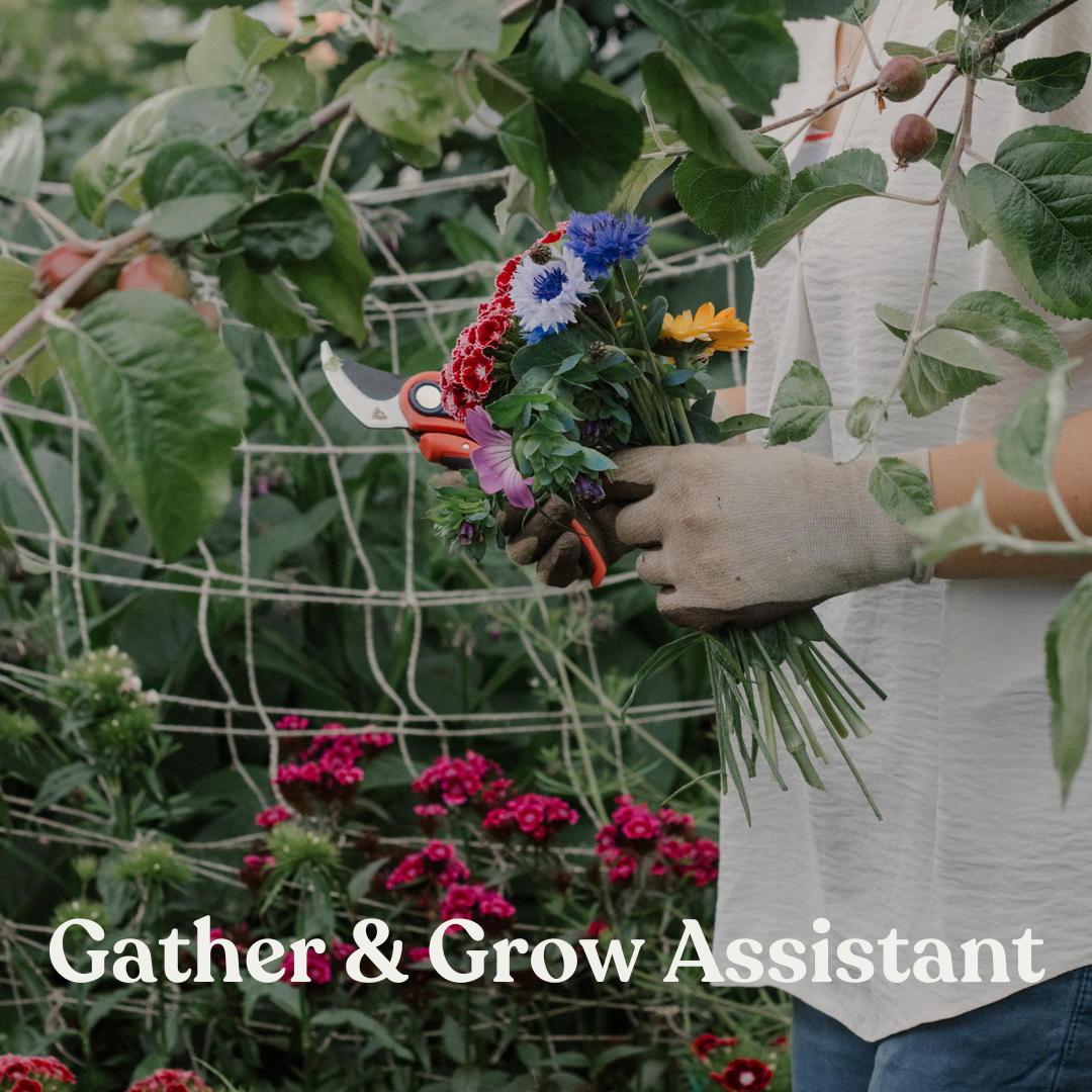 Gather &amp; Grow Assistant