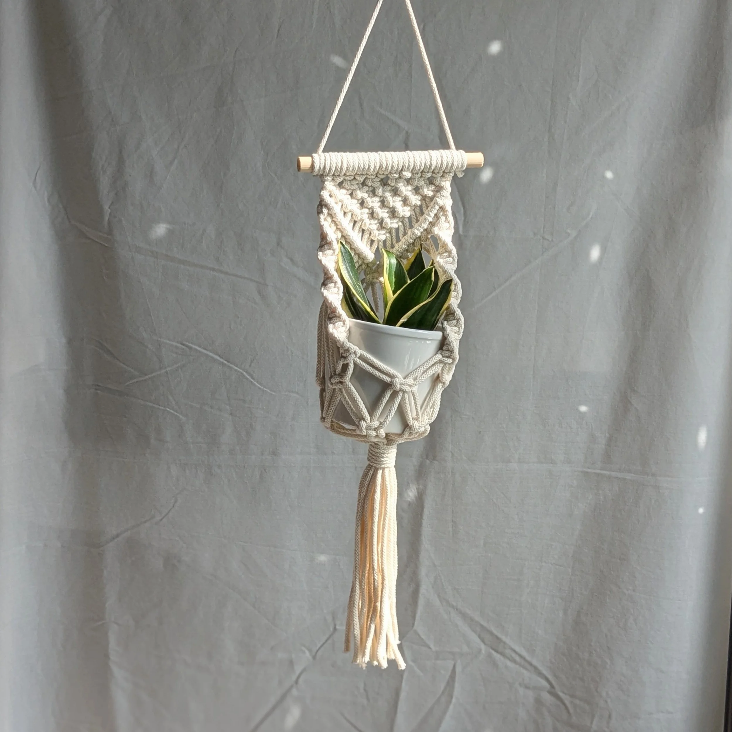 Macrame Wall Planter Workshop with CharKnots